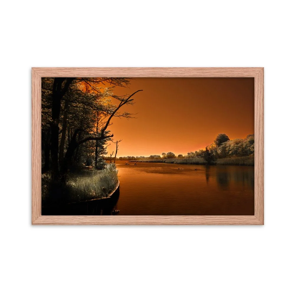 enhanced-matte-paper-framed-poster-(in)-red-oak-12x18-transparent-674a32d78e7b4.jpg