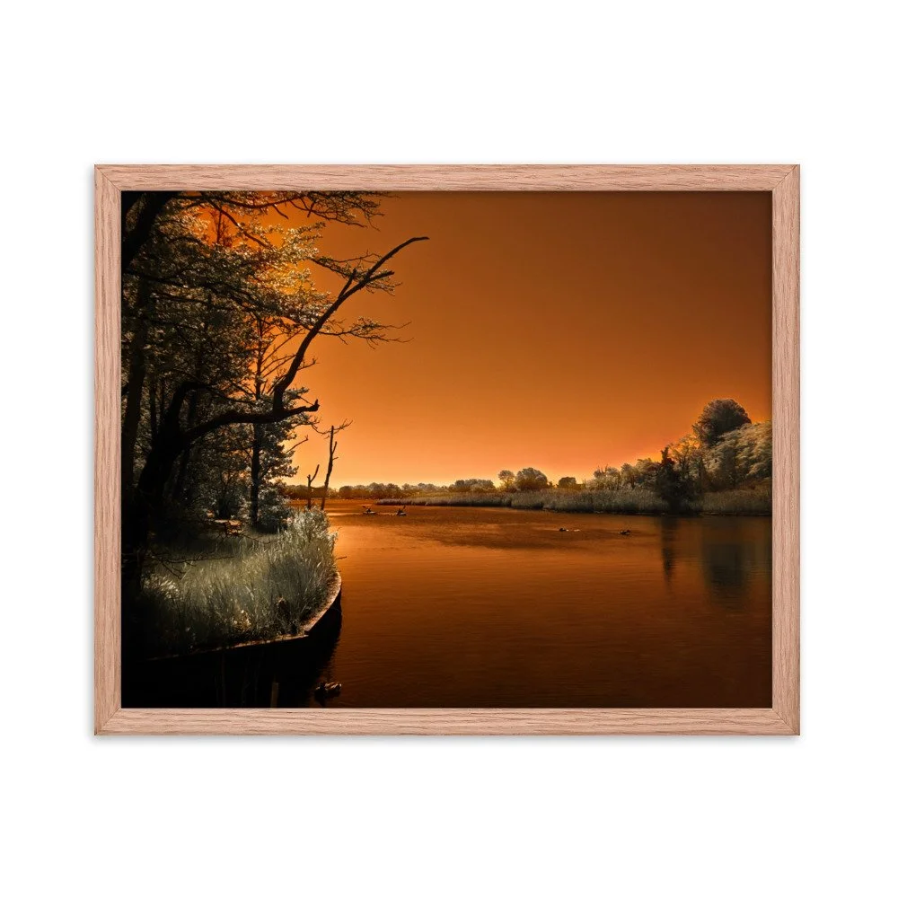 enhanced-matte-paper-framed-poster-(in)-red-oak-16x20-transparent-674a32d78e842.jpg