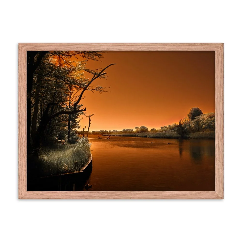 enhanced-matte-paper-framed-poster-(in)-red-oak-18x24-transparent-674a32d78e8de.jpg