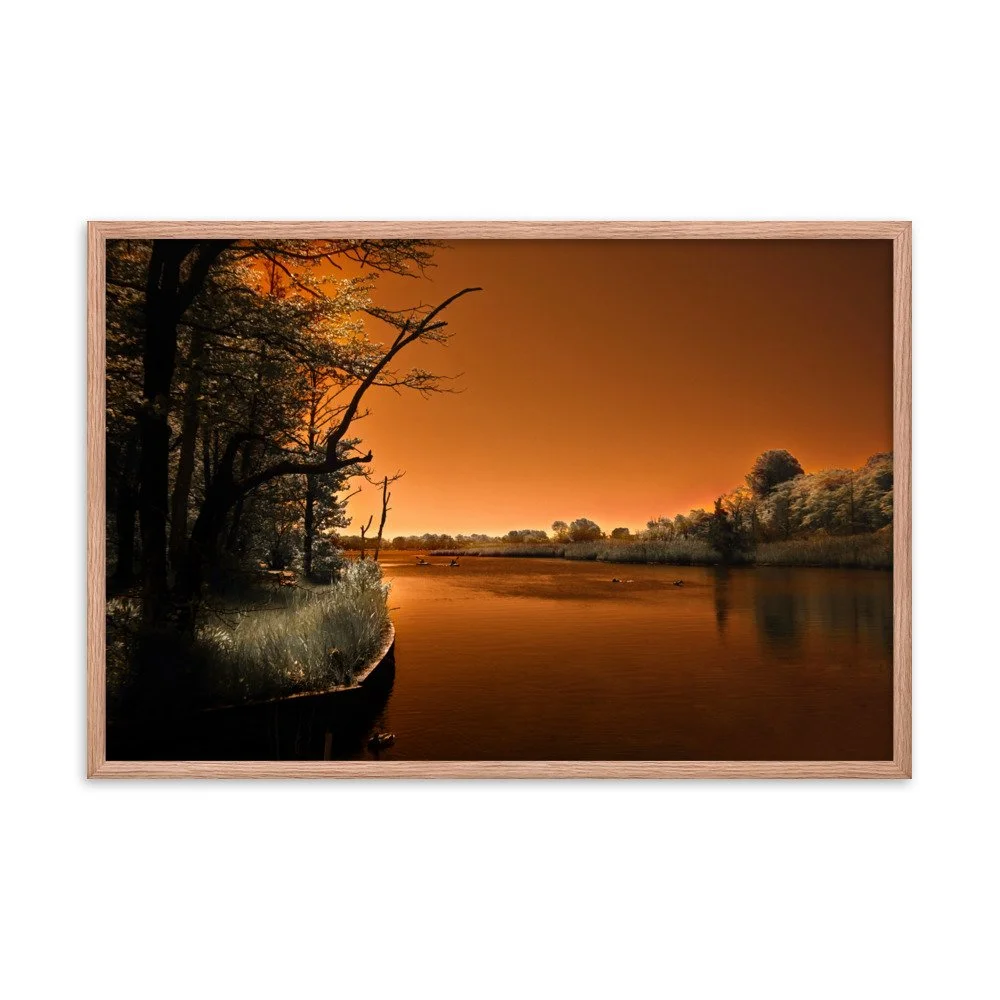 enhanced-matte-paper-framed-poster-(in)-red-oak-24x36-transparent-674a32d78e96d.jpg