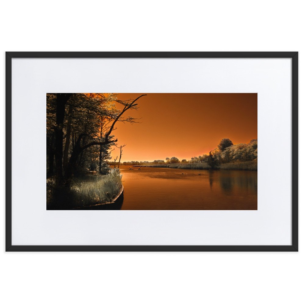 matte-paper-framed-poster-with-mat-(cm)-black-61x91-cm-transparent-674a34e417d38.jpg