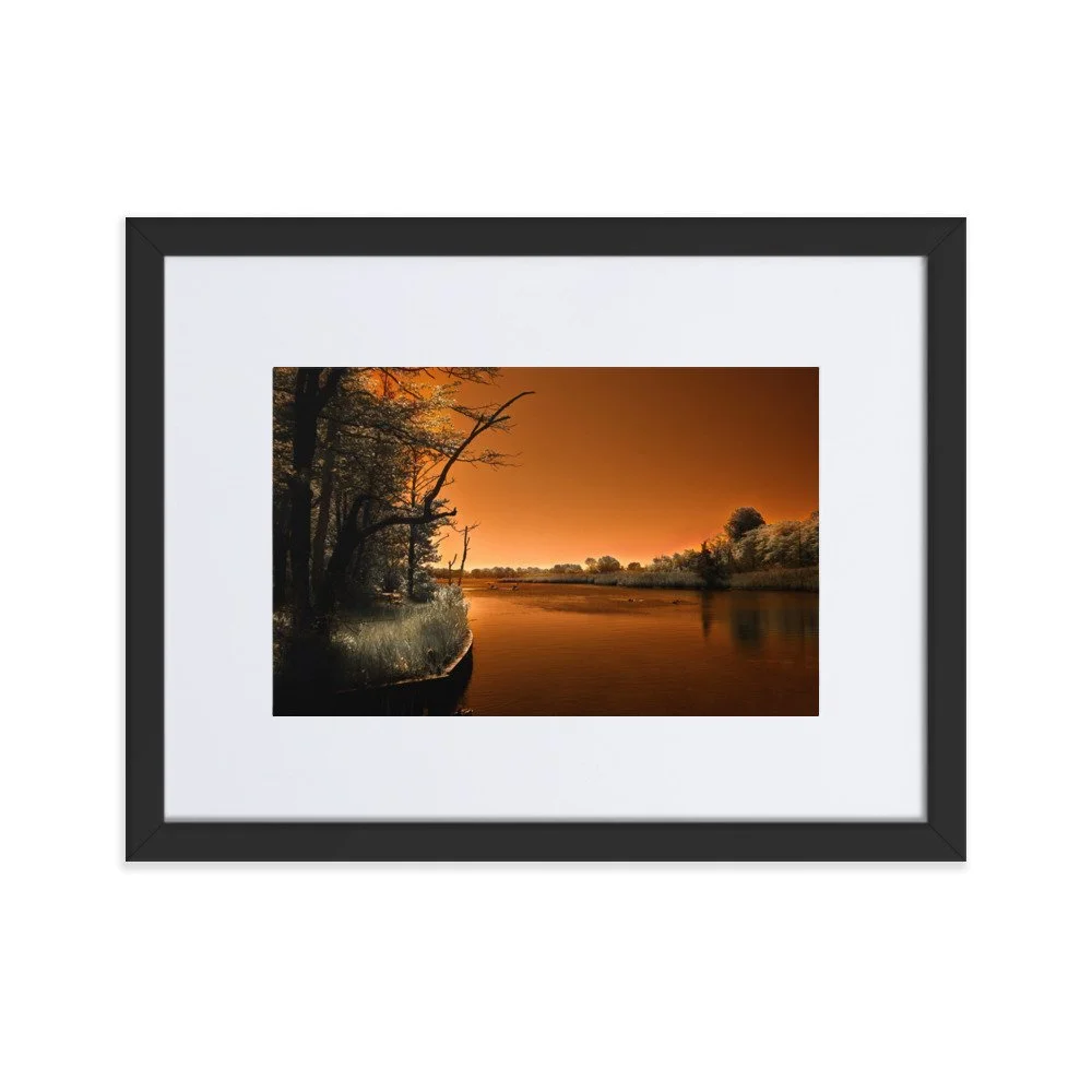 matte-paper-framed-poster-with-mat-(cm)-black-30x40-cm-transparent-674a34e41827d.jpg