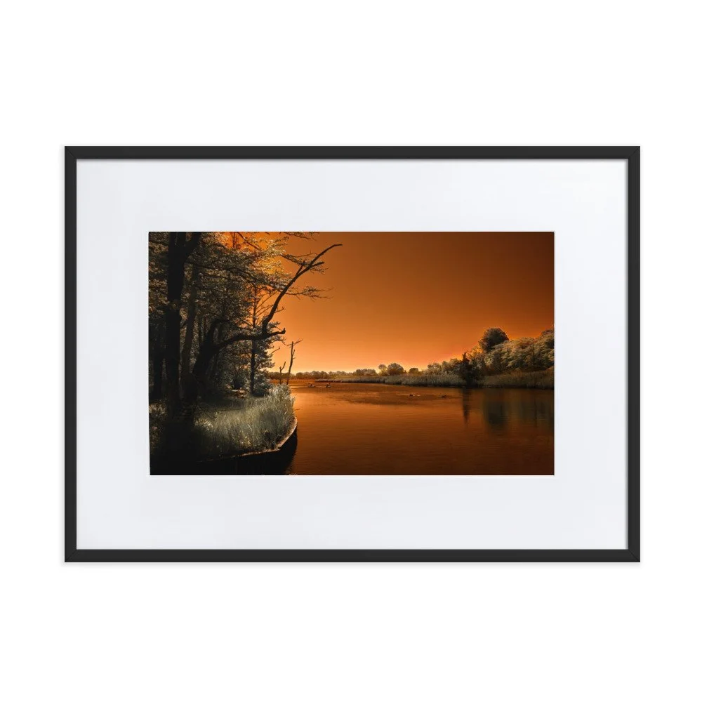 matte-paper-framed-poster-with-mat-(cm)-black-50x70-cm-transparent-674a34e41830f.jpg