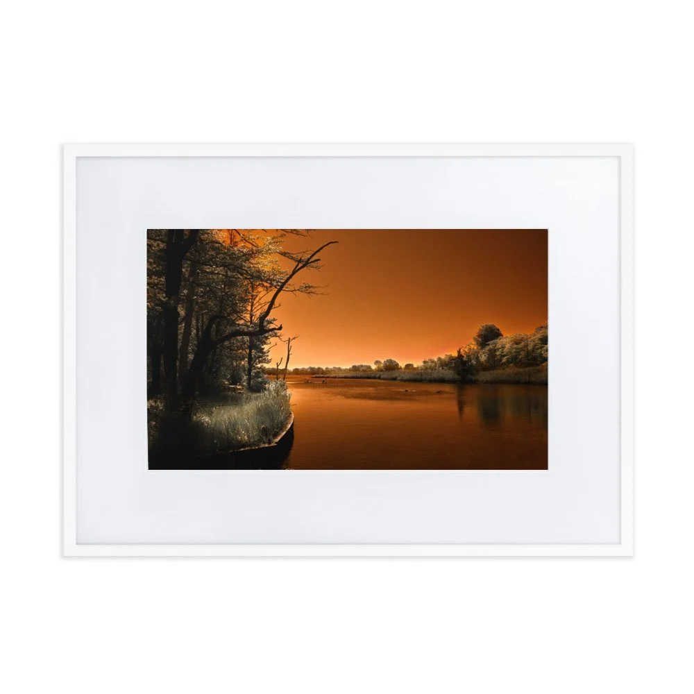 matte-paper-framed-poster-with-mat-(cm)-white-50x70-cm-transparent-674a34e41842e.jpg