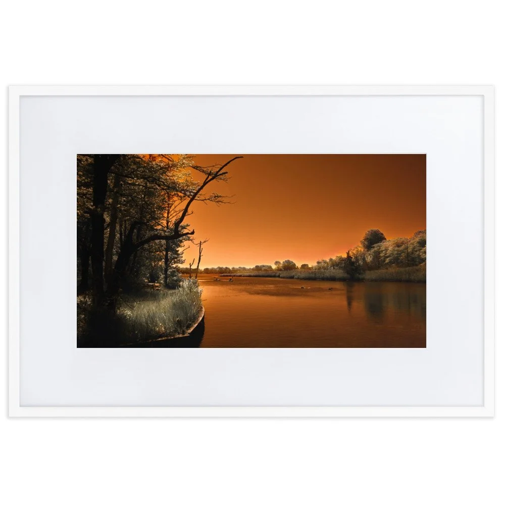 matte-paper-framed-poster-with-mat-(cm)-white-61x91-cm-transparent-674a34e41849f.jpg