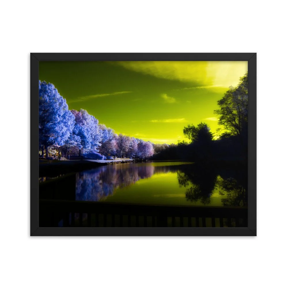 enhanced-matte-paper-framed-poster-(in)-black-16x20-transparent-674a3feec355d.jpg