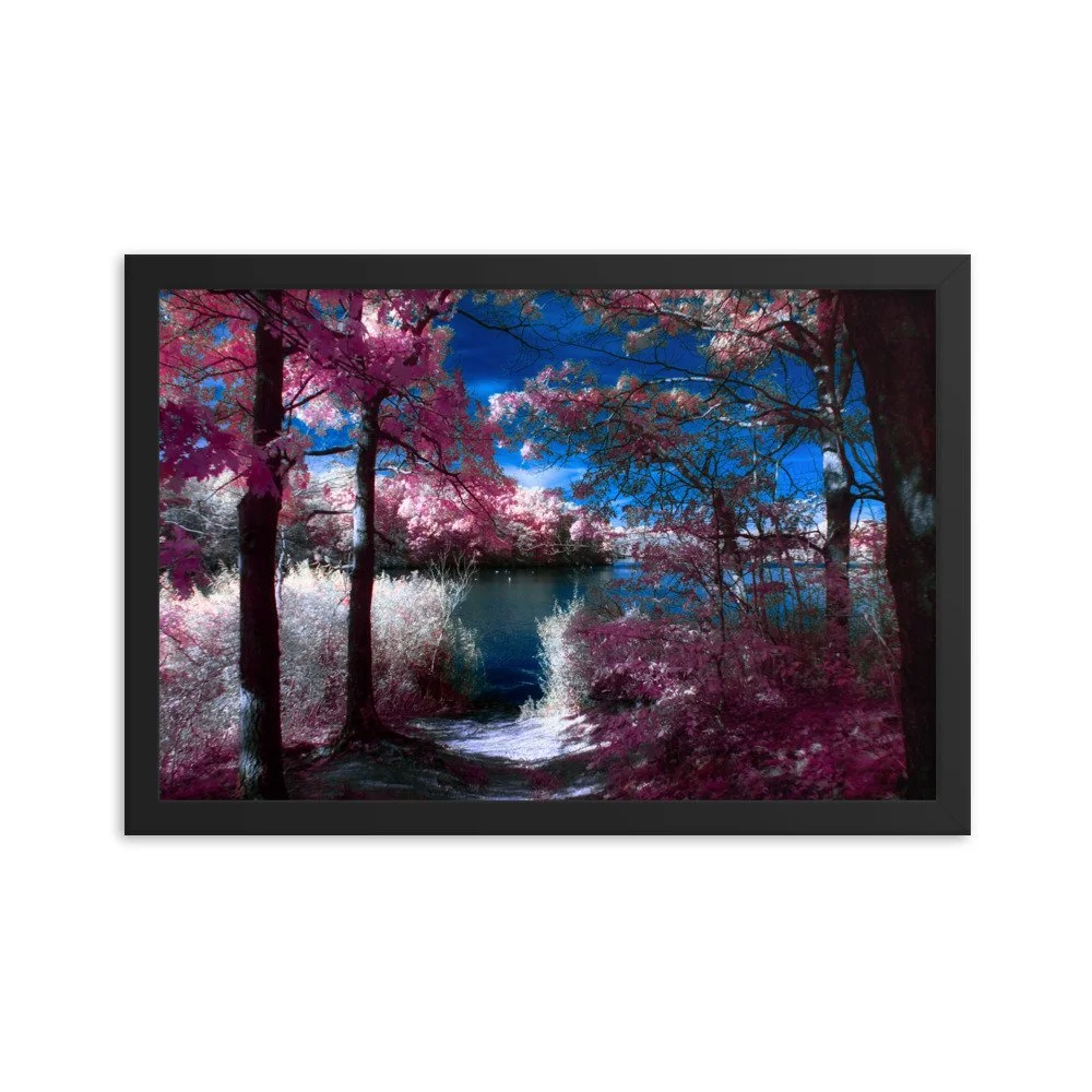 enhanced-matte-paper-framed-poster-(in)-black-12x18-transparent-674a7e4f66436.jpg