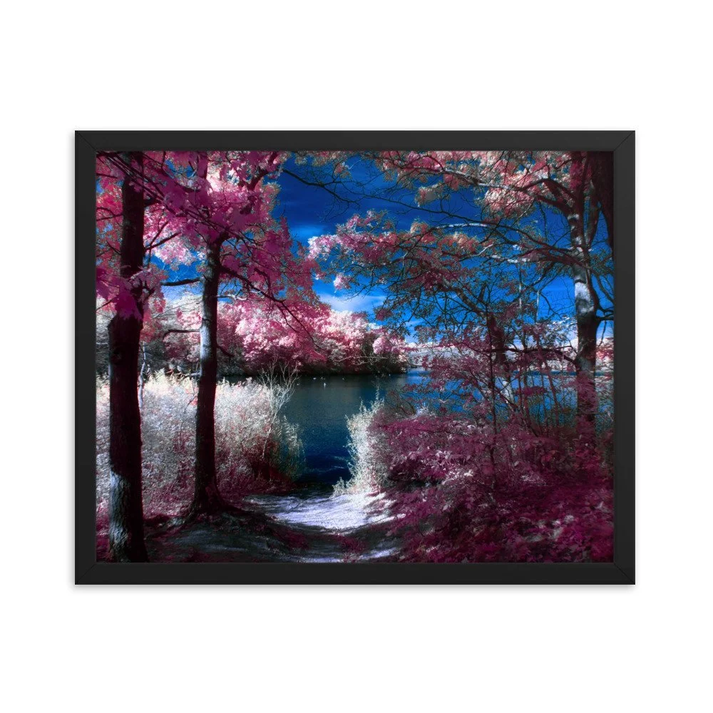 enhanced-matte-paper-framed-poster-(in)-black-16x20-transparent-674a7e4f66503.jpg