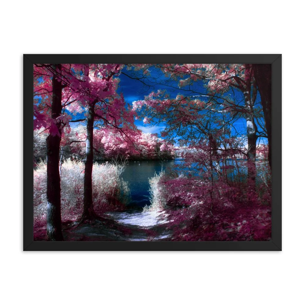 enhanced-matte-paper-framed-poster-(in)-black-18x24-transparent-674a7e4f665ac.jpg