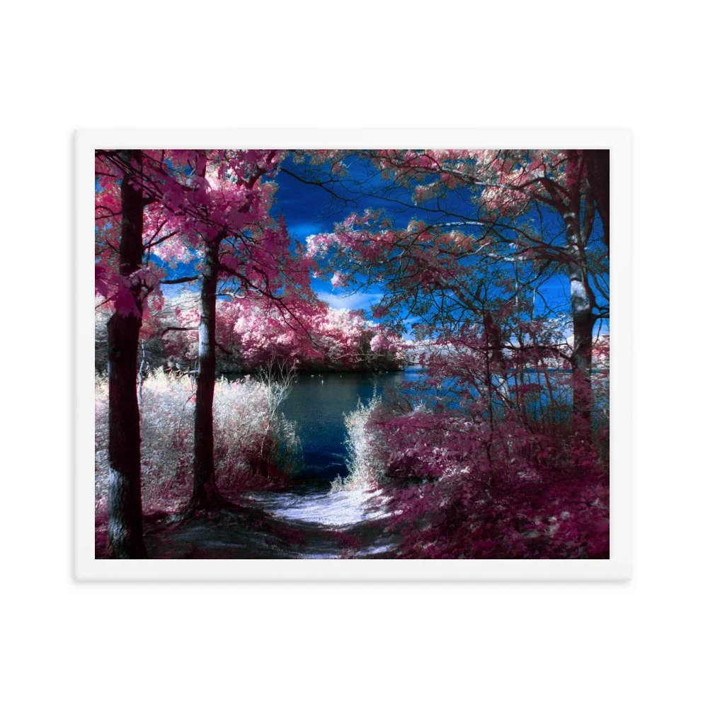 enhanced-matte-paper-framed-poster-(in)-white-16x20-transparent-674a7e4f6676e.jpg