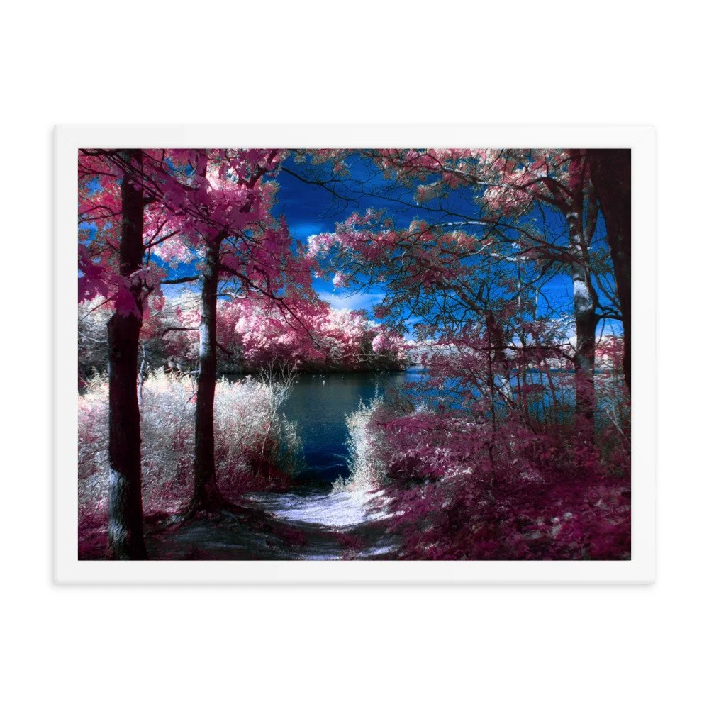 enhanced-matte-paper-framed-poster-(in)-white-18x24-transparent-674a7e4f6680b.jpg