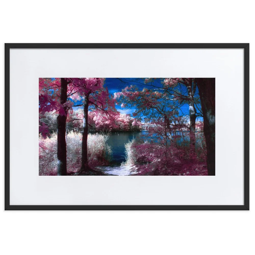 matte-paper-framed-poster-with-mat-(cm)-black-61x91-cm-transparent-674a7ebe2fe0d.jpg