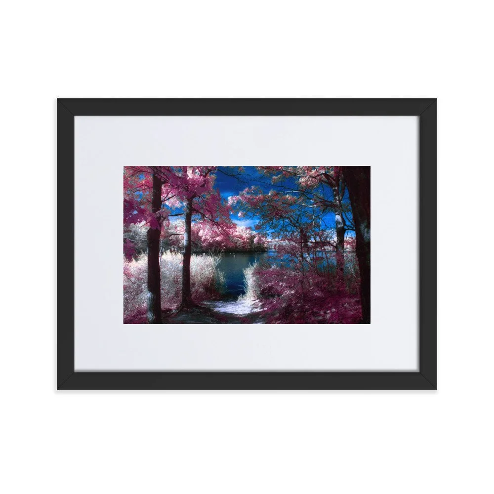 matte-paper-framed-poster-with-mat-(cm)-black-30x40-cm-transparent-674a7ebe3065c.jpg