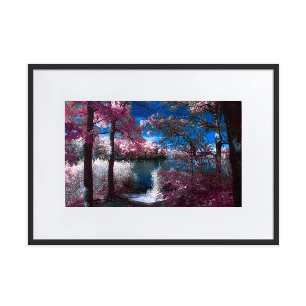 matte-paper-framed-poster-with-mat-(cm)-black-50x70-cm-transparent-674a7ebe3072c.jpg