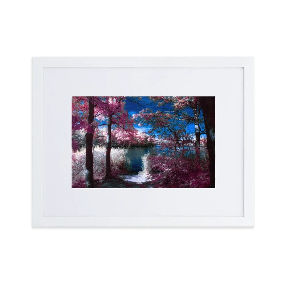 matte-paper-framed-poster-with-mat-(cm)-white-30x40-cm-transparent-674a7ebe30868.jpg