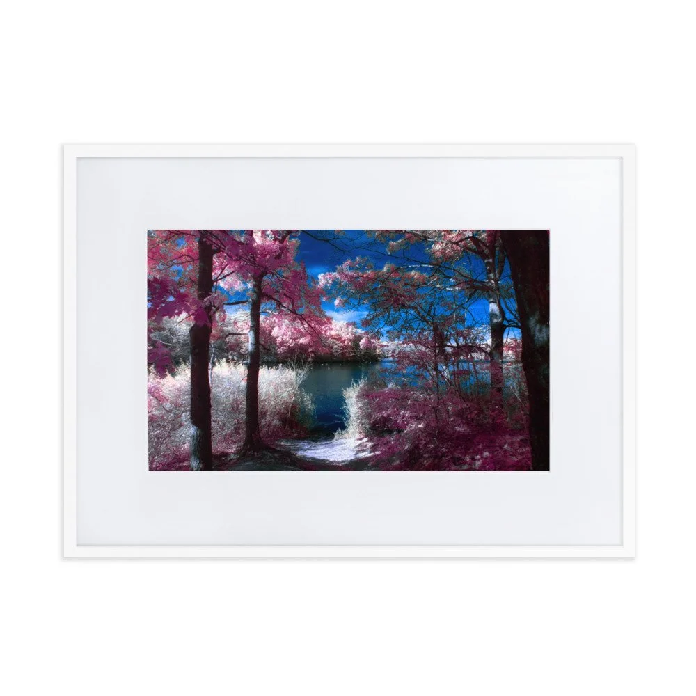 matte-paper-framed-poster-with-mat-(cm)-white-50x70-cm-transparent-674a7ebe3094b.jpg