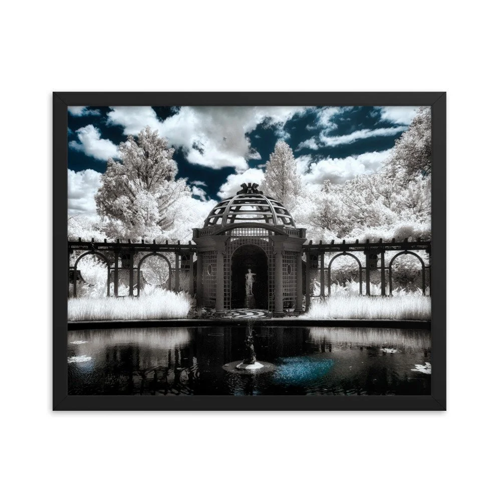 enhanced-matte-paper-framed-poster-(in)-black-16x20-transparent-674b8a89cd204.jpg