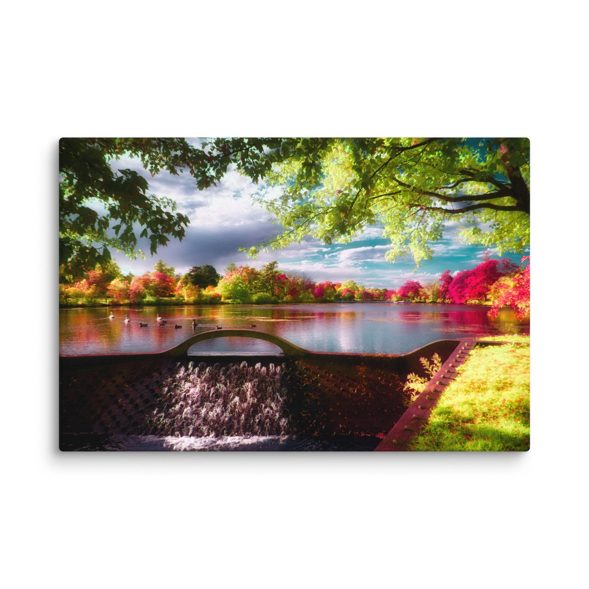 canvas-(in)-20x30-wall-674be10c7dcaf.jpg