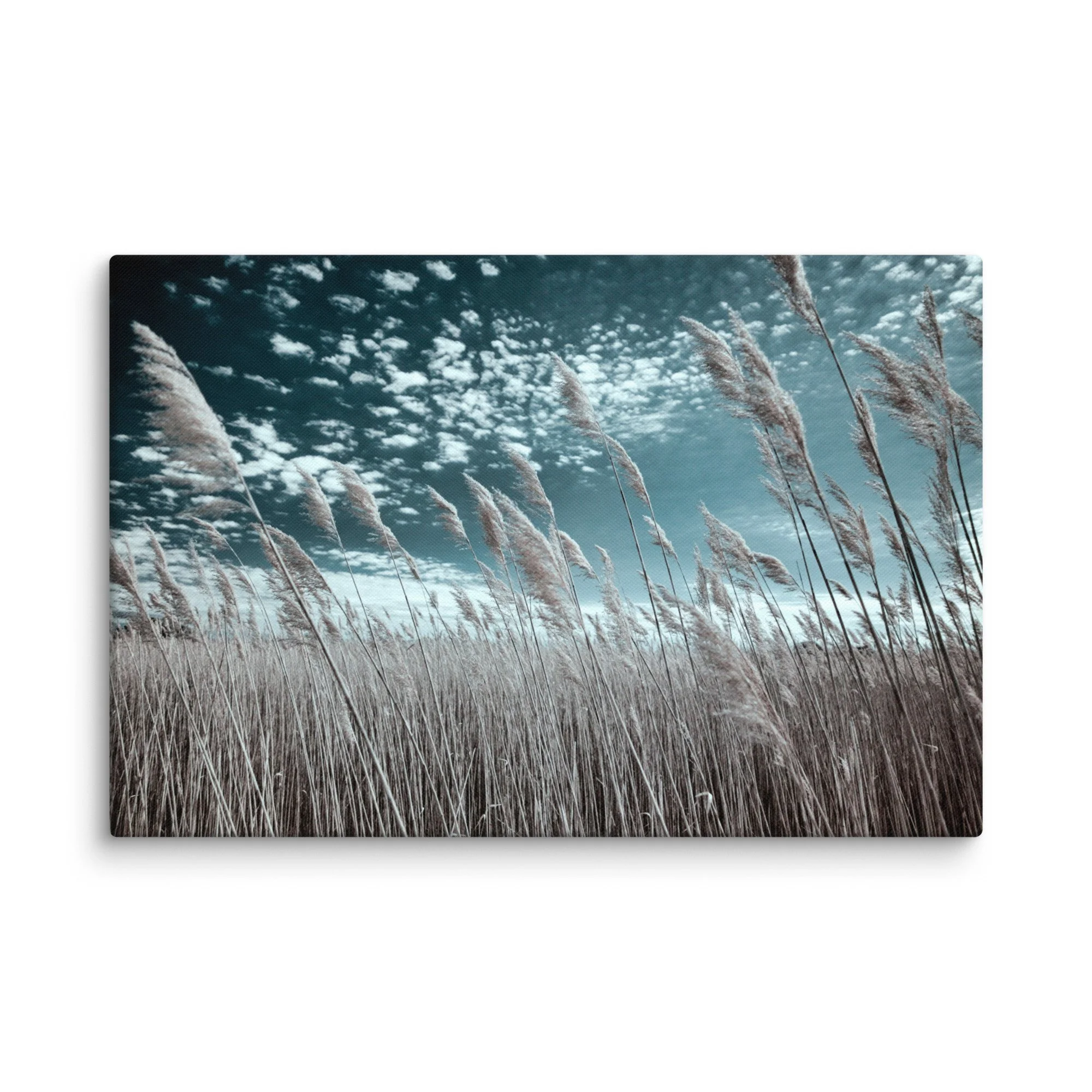 canvas-(in)-16x24-wall-674be6e1b22b8.jpg