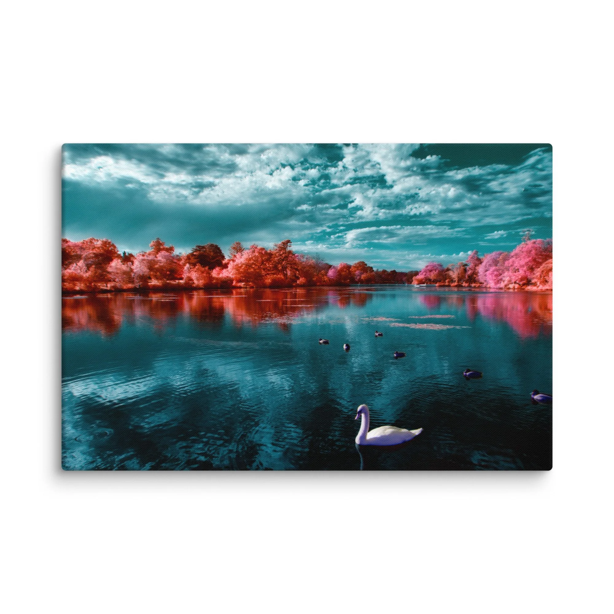 canvas-(in)-16x24-wall-674be7d935dde.jpg