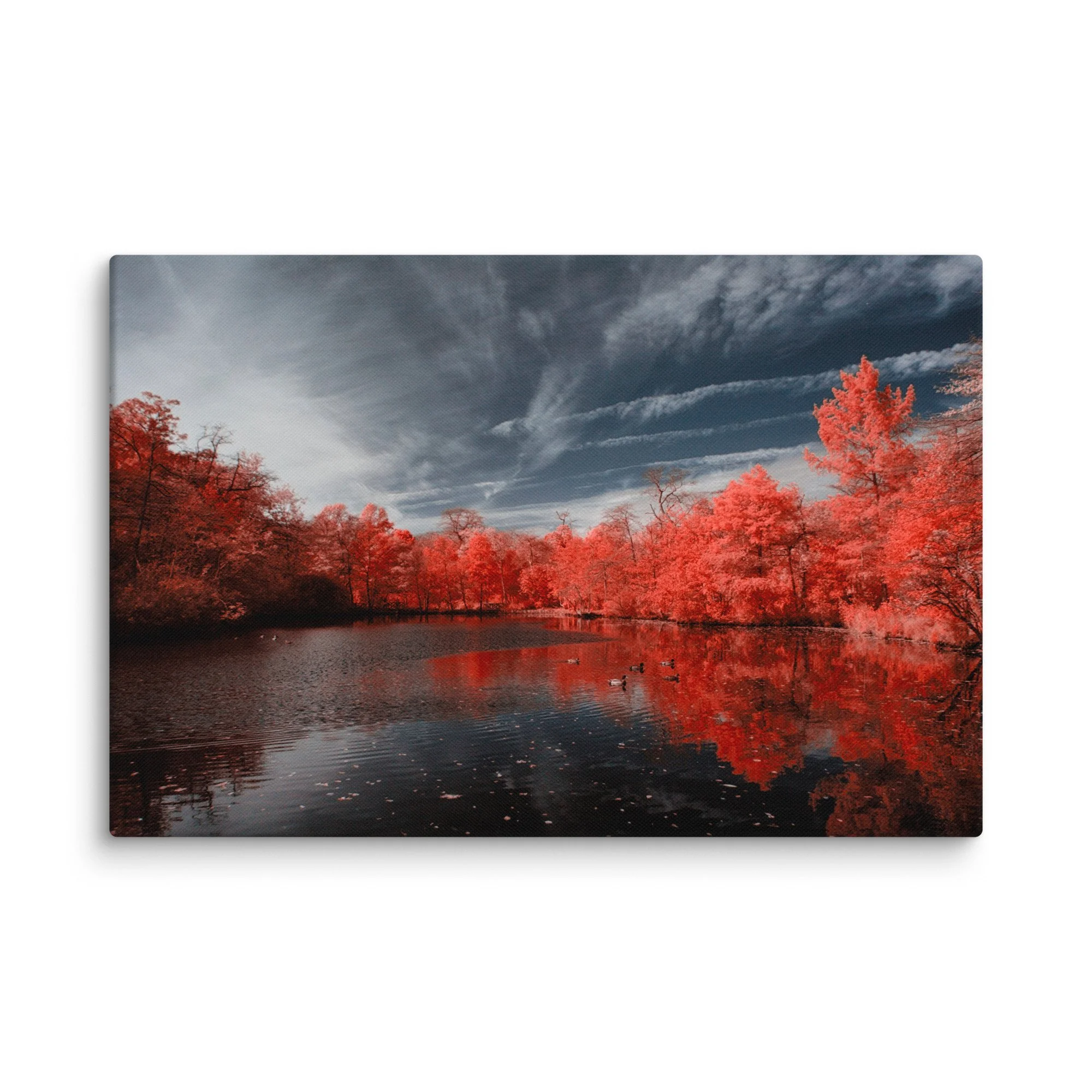 canvas-(in)-24x36-wall-674c6c617bb54.jpg