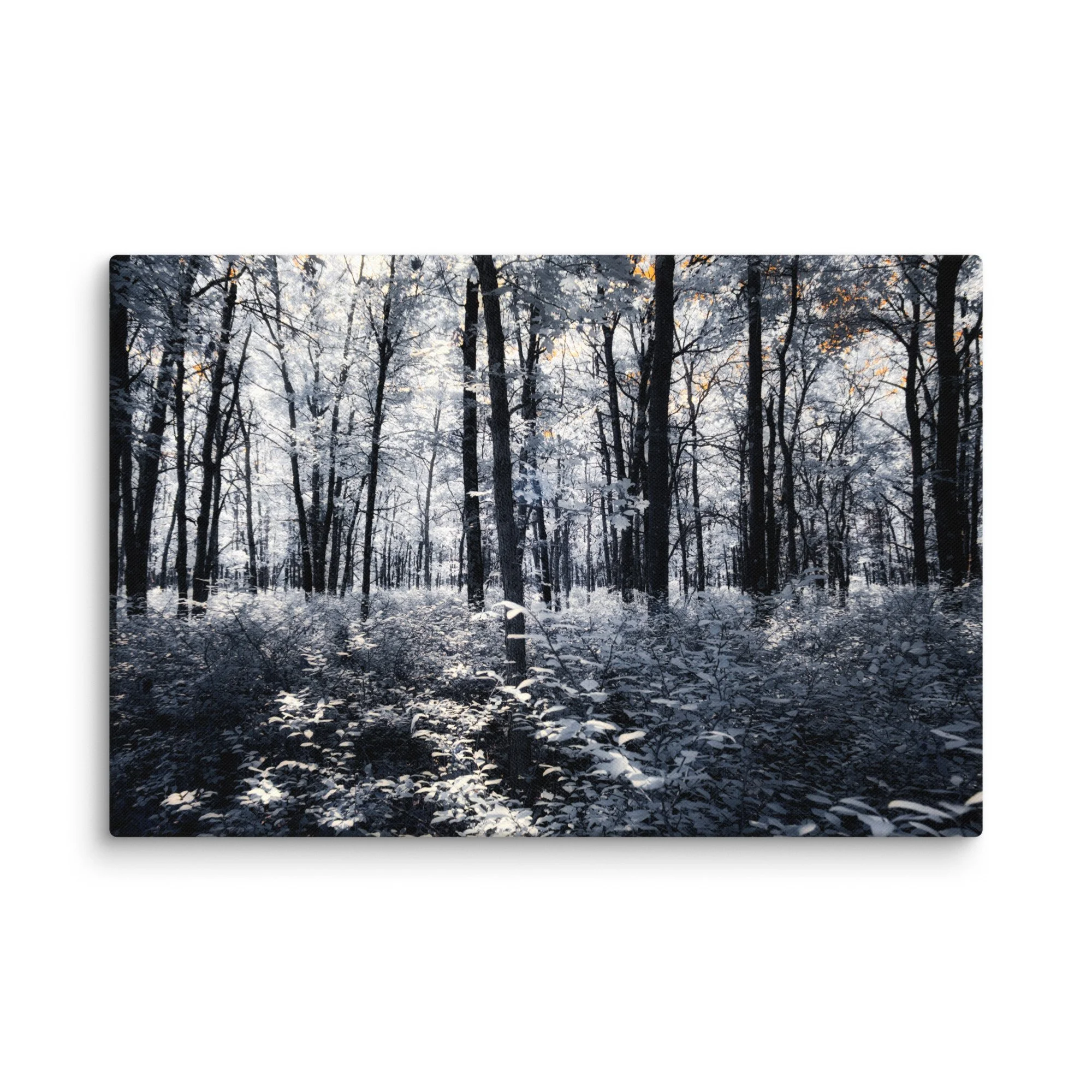 canvas-(in)-24x36-wall-674c6f366b3b8.jpg