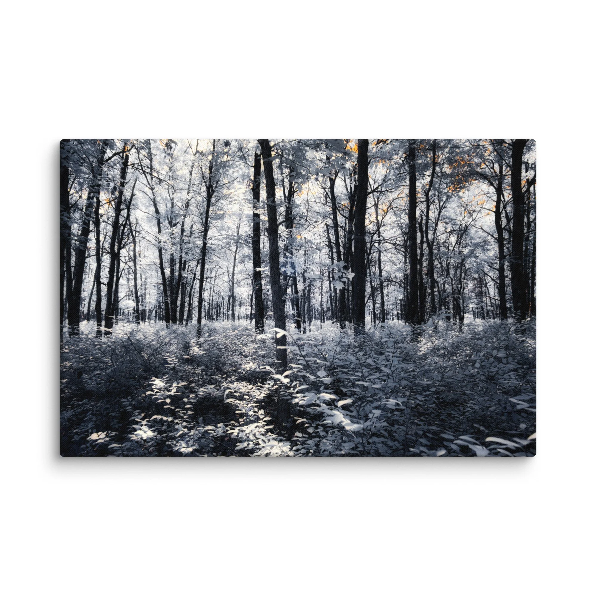 canvas-(in)-16x24-wall-674c6f366ba75.jpg