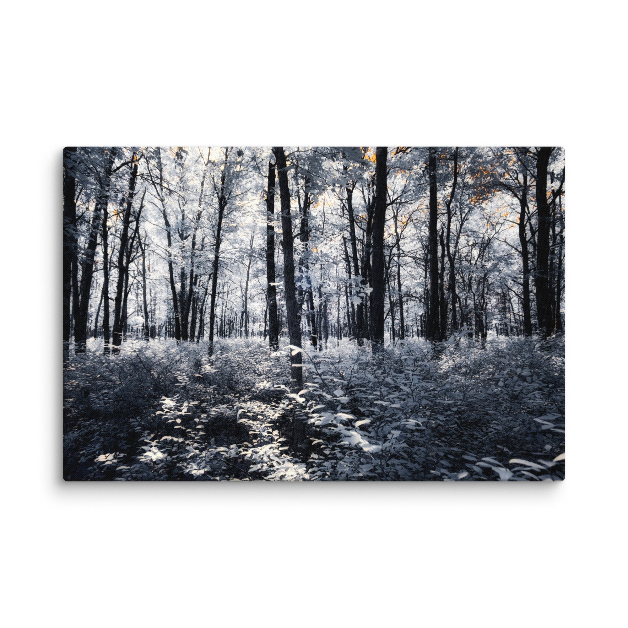 canvas-(in)-20x30-wall-674c6f366bac5.jpg