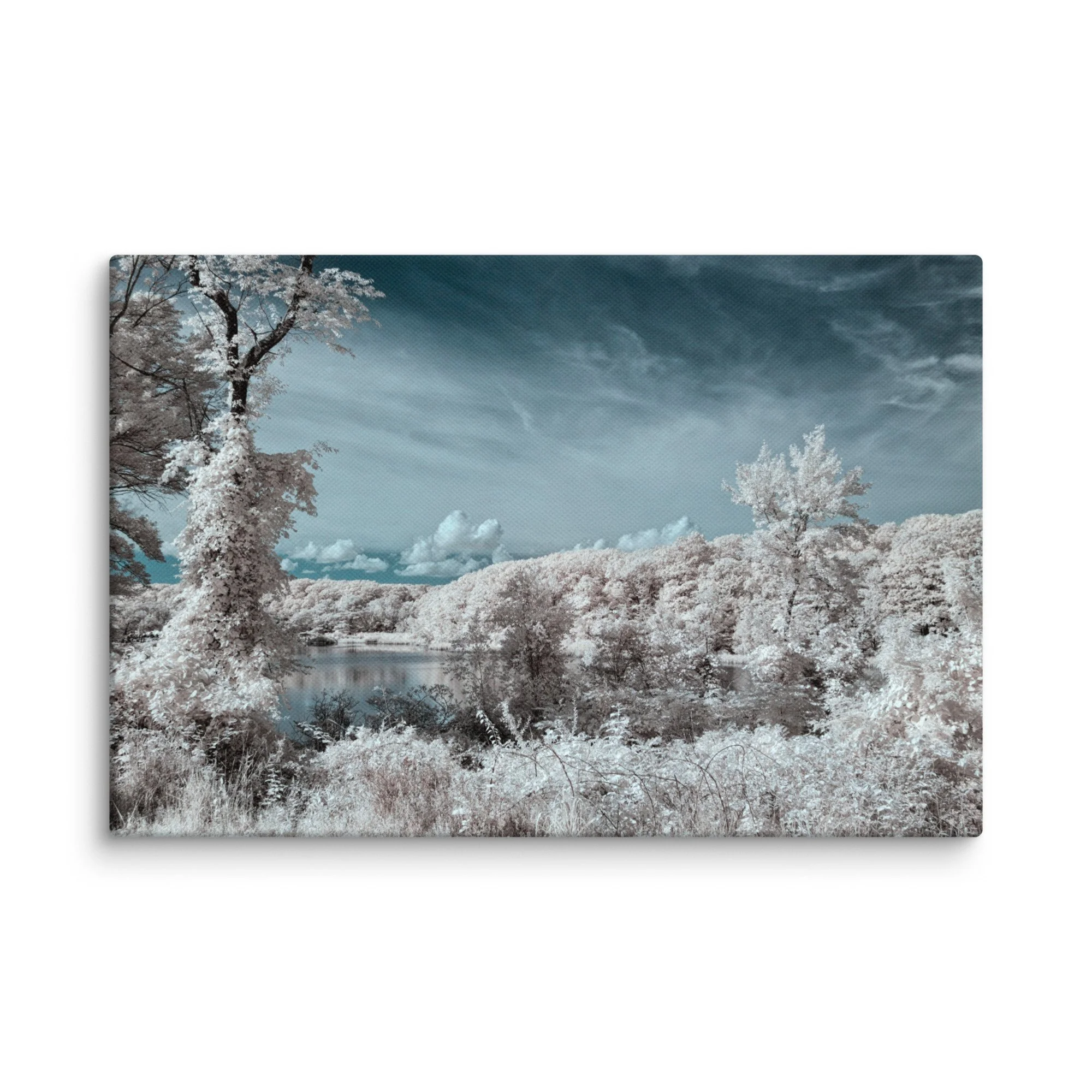 canvas-(in)-12x18-wall-674c72787eec2.jpg