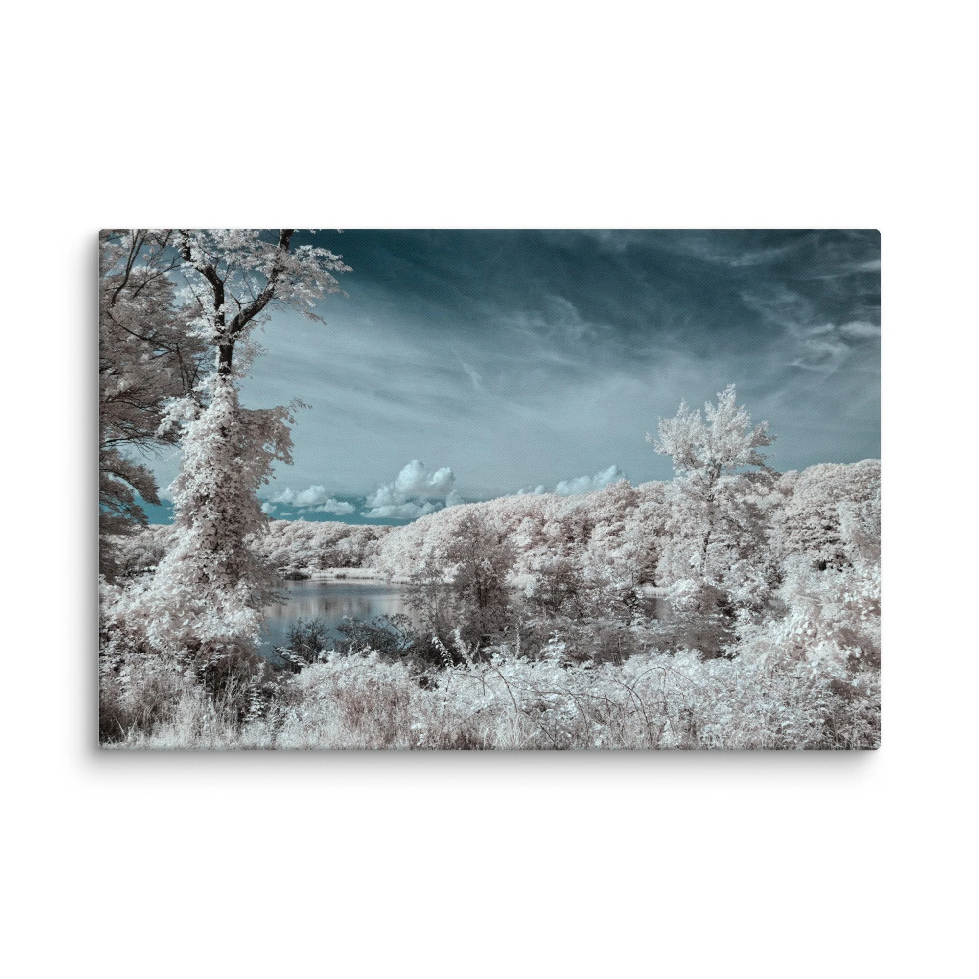 canvas-(in)-16x24-wall-674c72787ef36.jpg