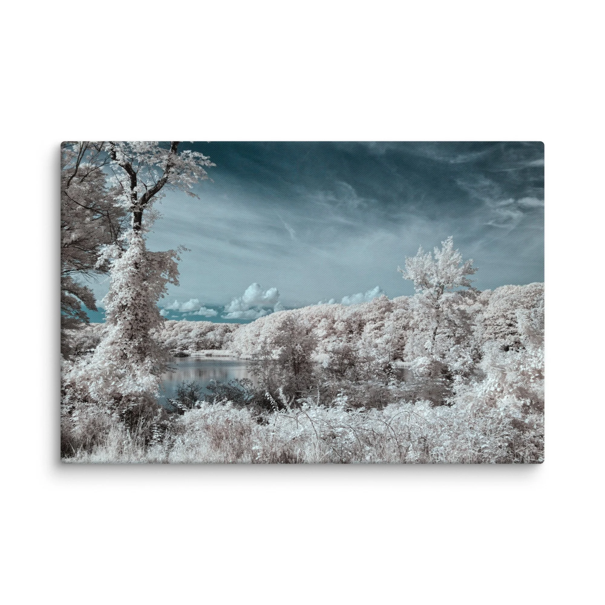 canvas-(in)-20x30-wall-674c72787ef90.jpg