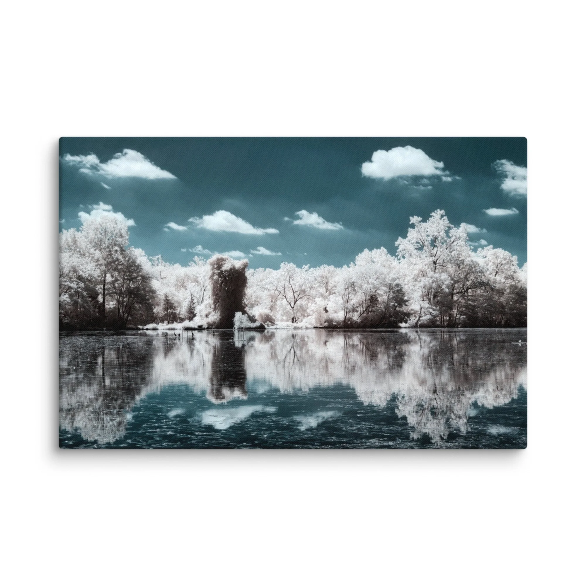 canvas-(in)-16x24-wall-674c78397161f.jpg
