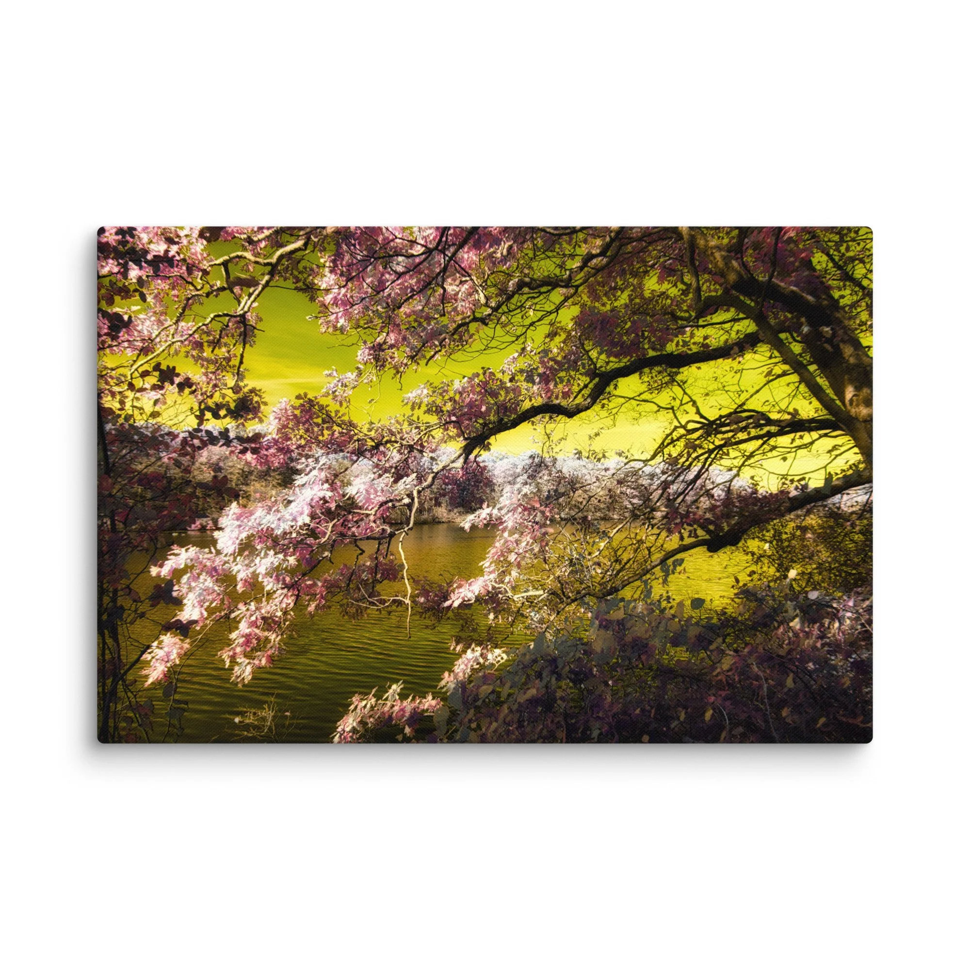 canvas-(in)-20x30-wall-674c7f4e76bc4.jpg