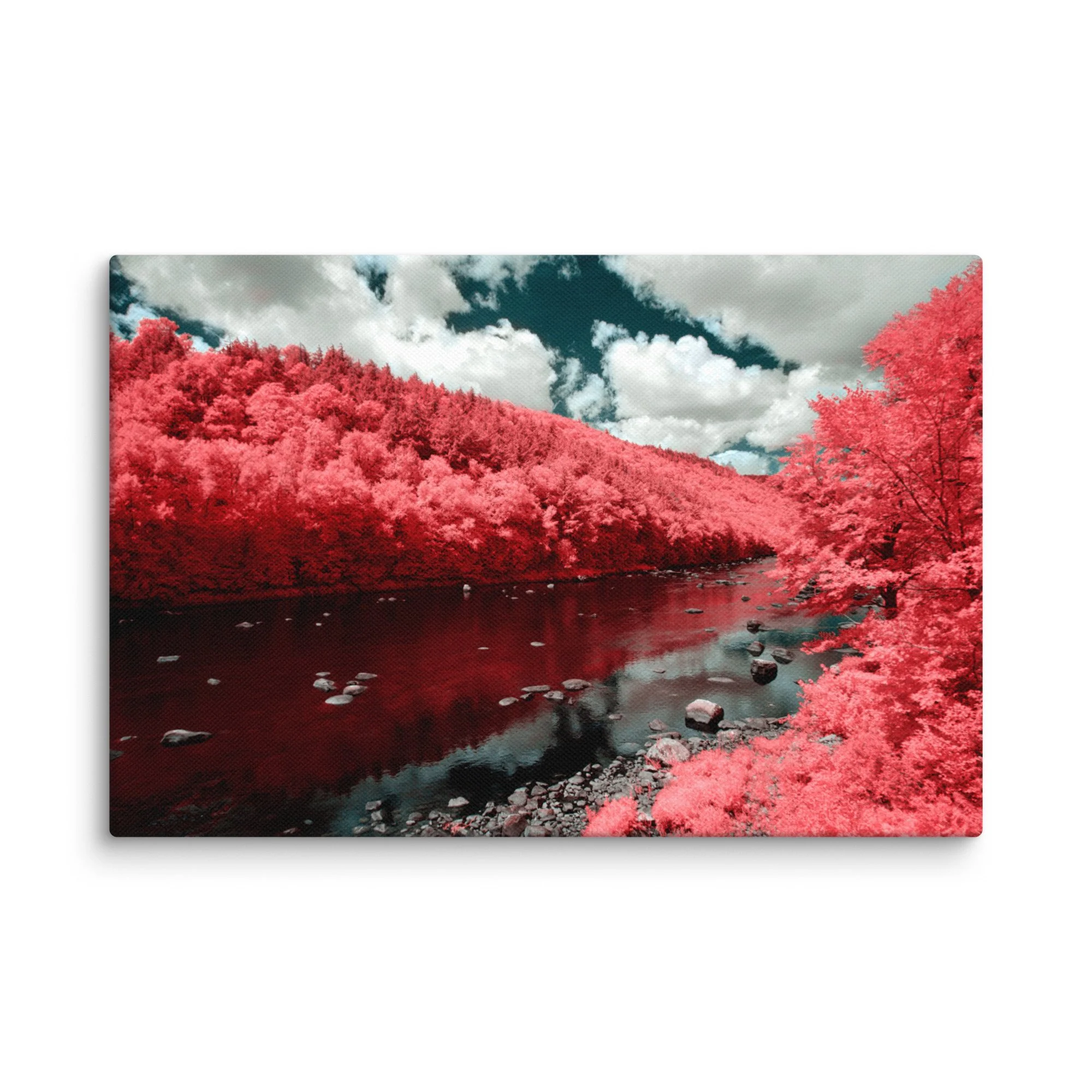 canvas-(in)-12x18-wall-674cae11b77bd.jpg