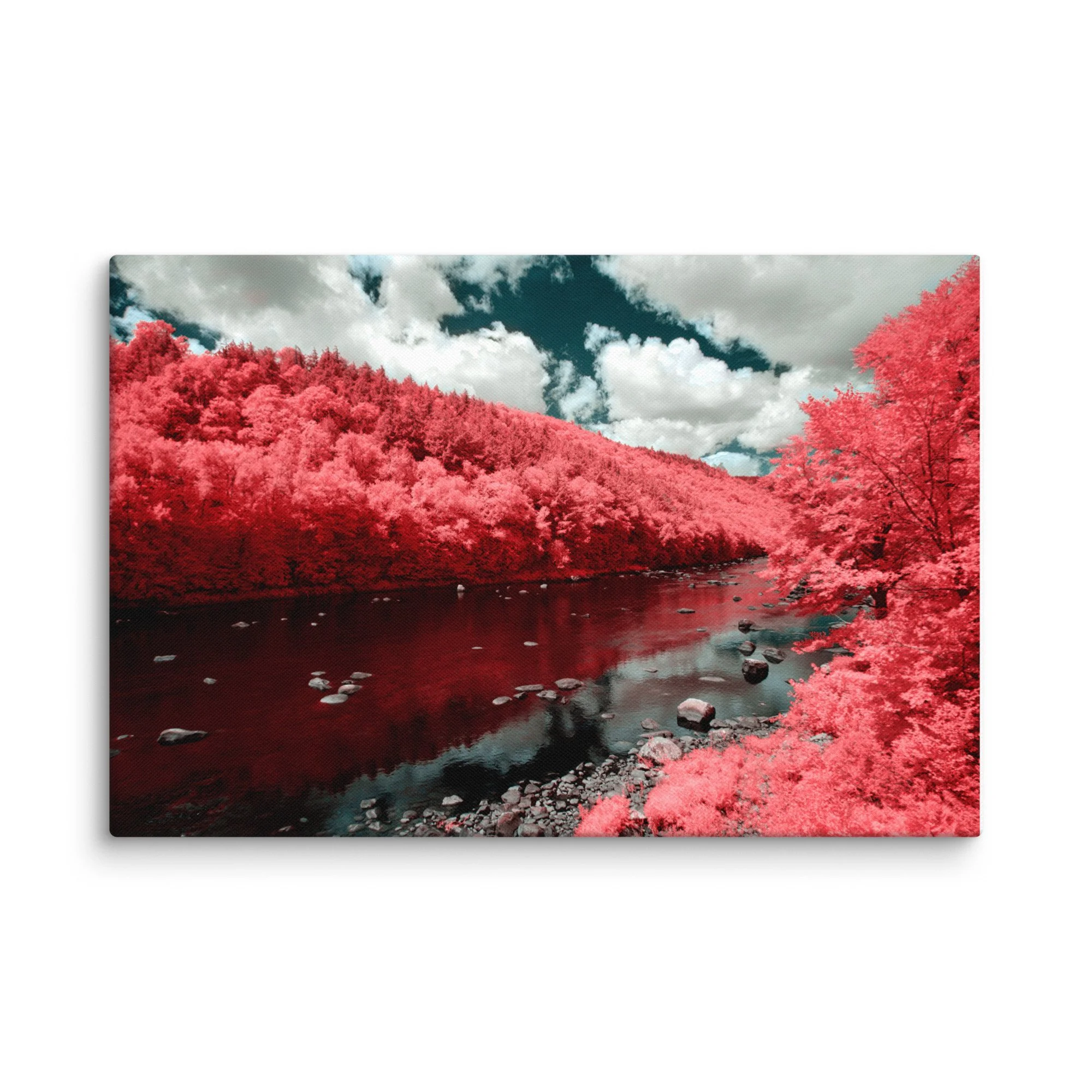 canvas-(in)-20x30-wall-674cae11b7882.jpg