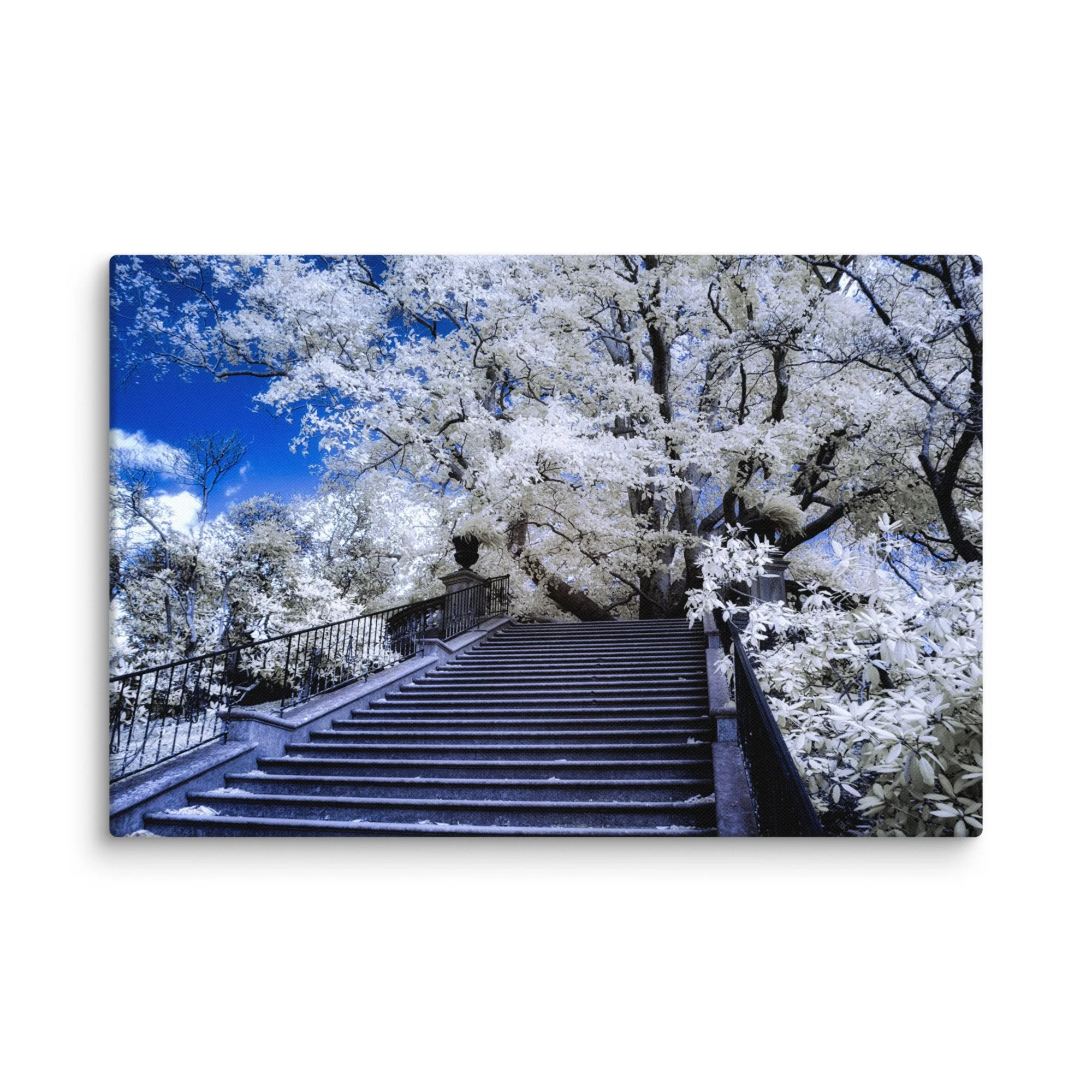 canvas-(in)-24x36-wall-674cae5d4982f.jpg