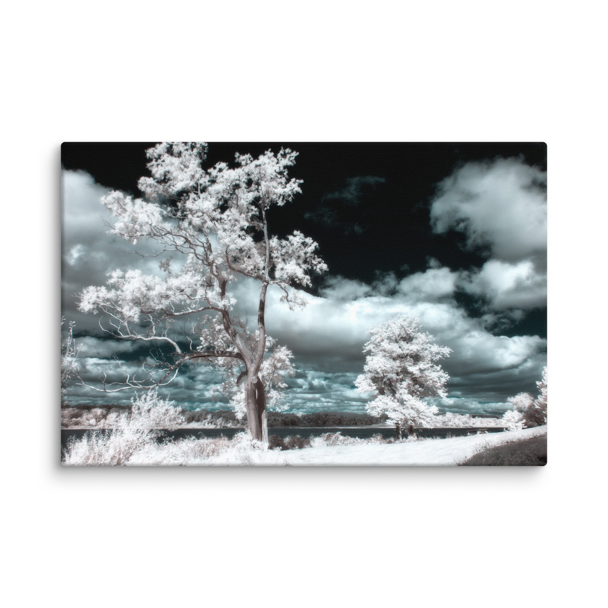 canvas-(in)-16x24-wall-674cb0e245cc5.jpg