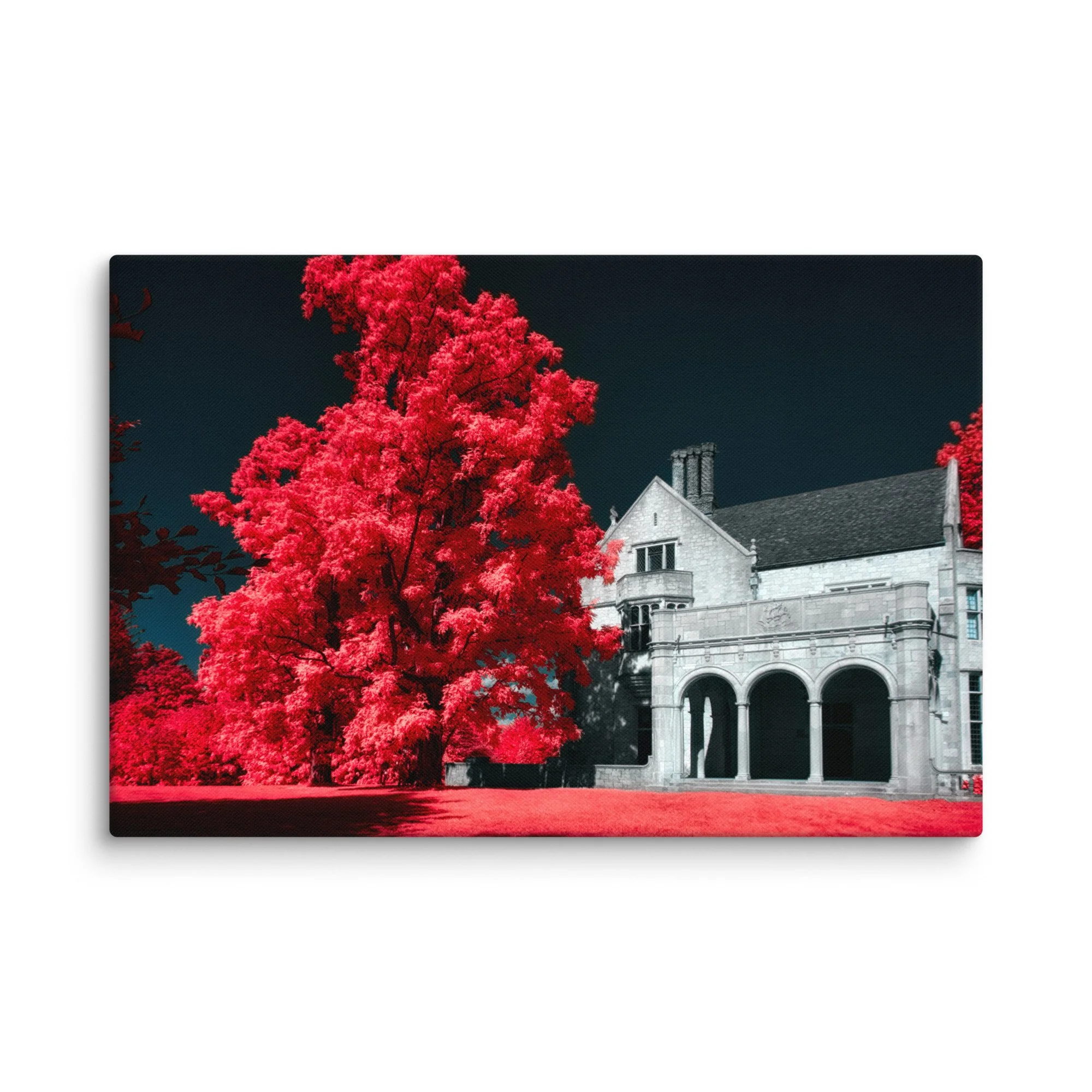 canvas-(in)-16x24-wall-674cb139b3ac0.jpg