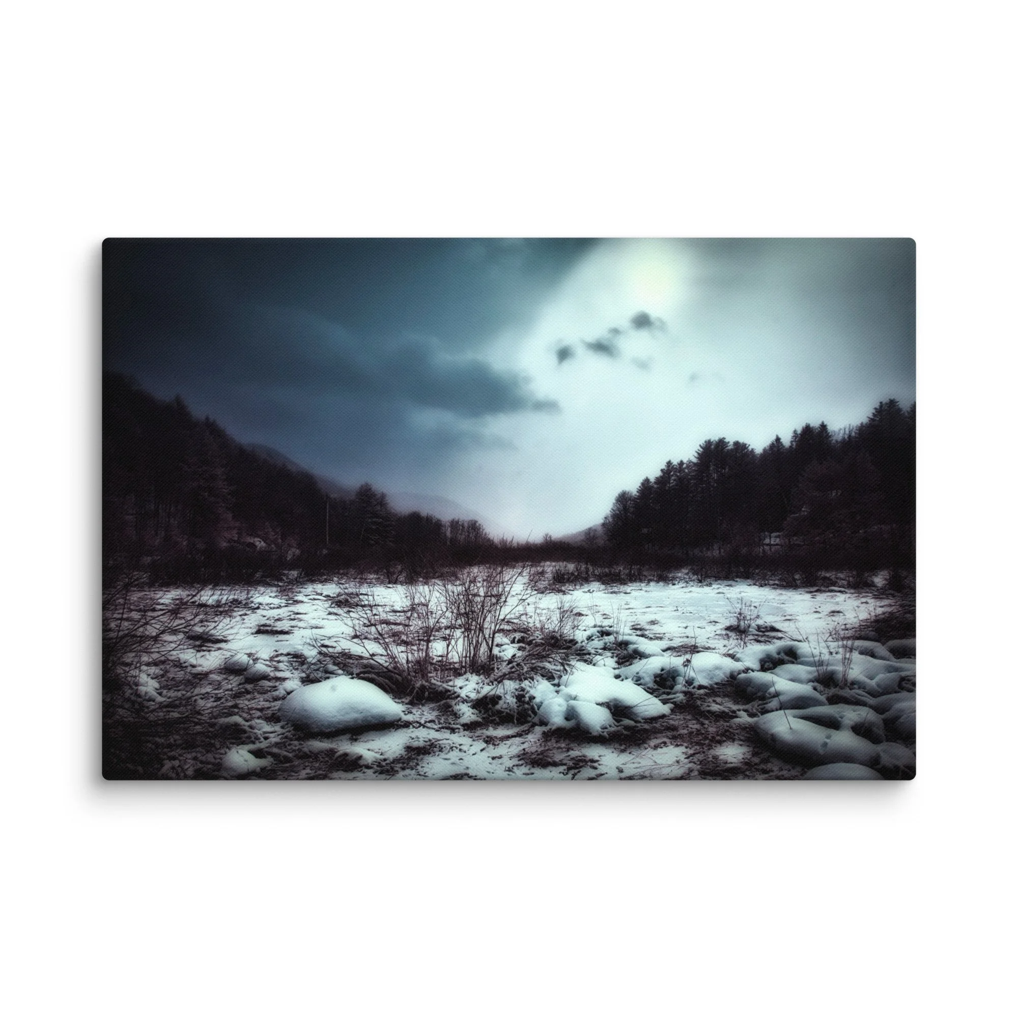 canvas-(in)-16x24-wall-674cb1b58da93.jpg