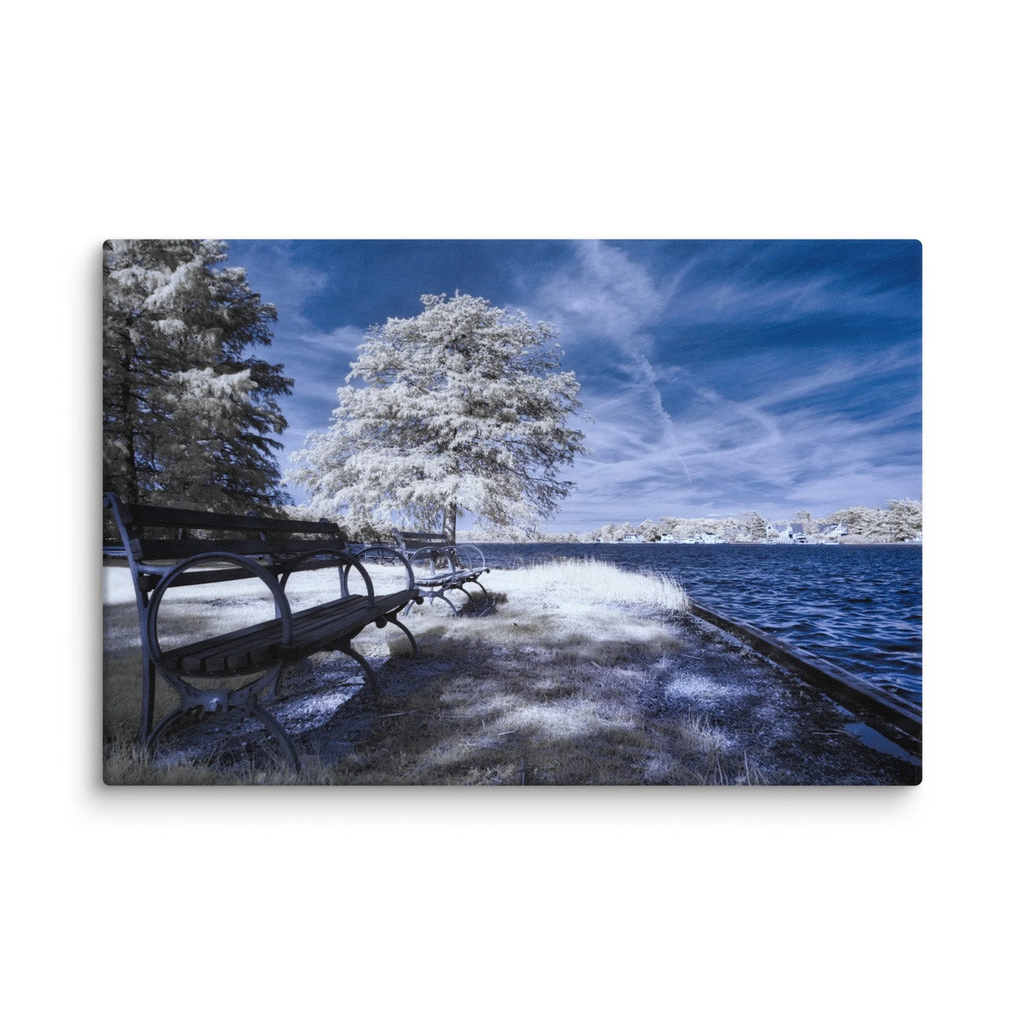 canvas-(in)-24x36-wall-674cb2539dadd.jpg