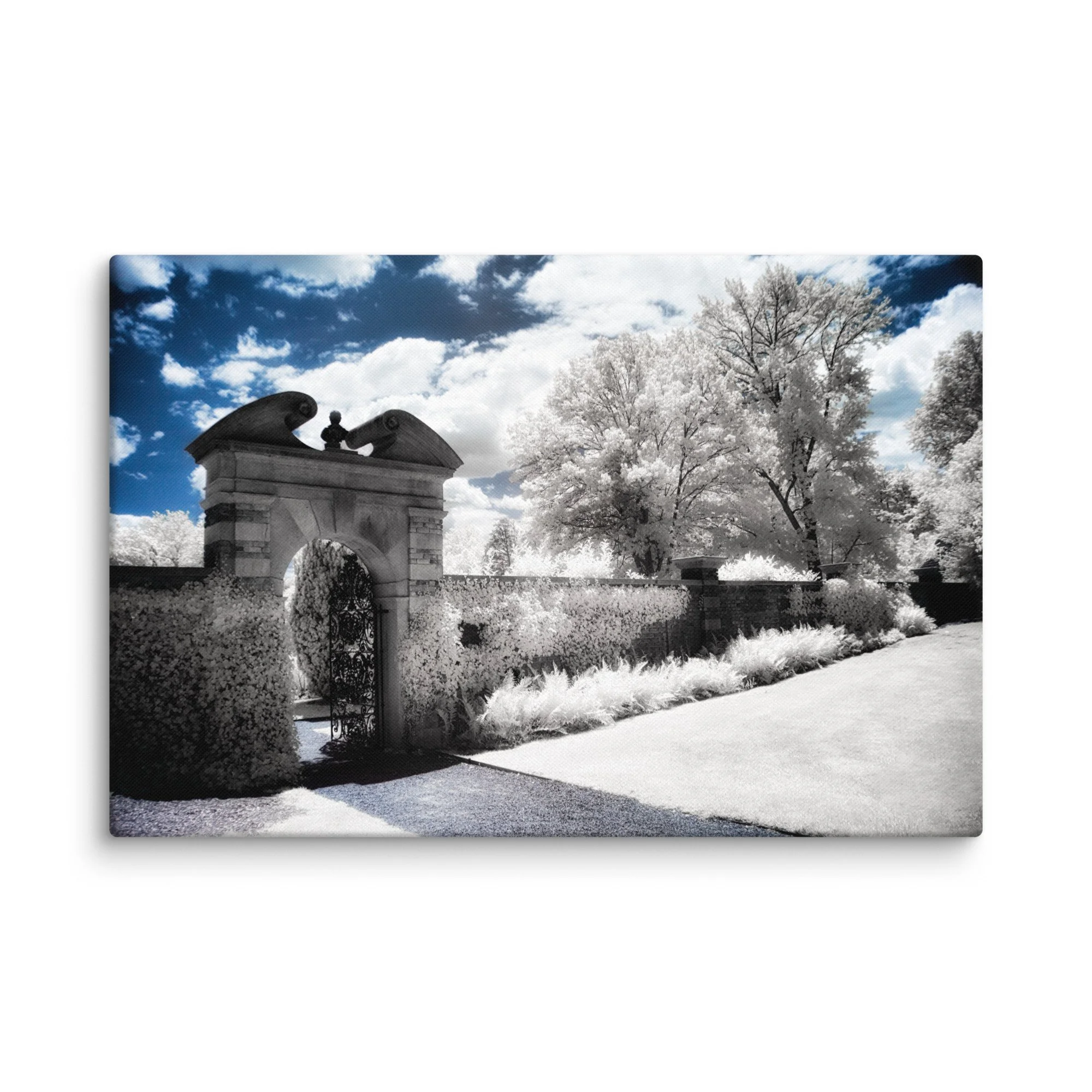 canvas-(in)-24x36-wall-674d1216b9ba8.jpg
