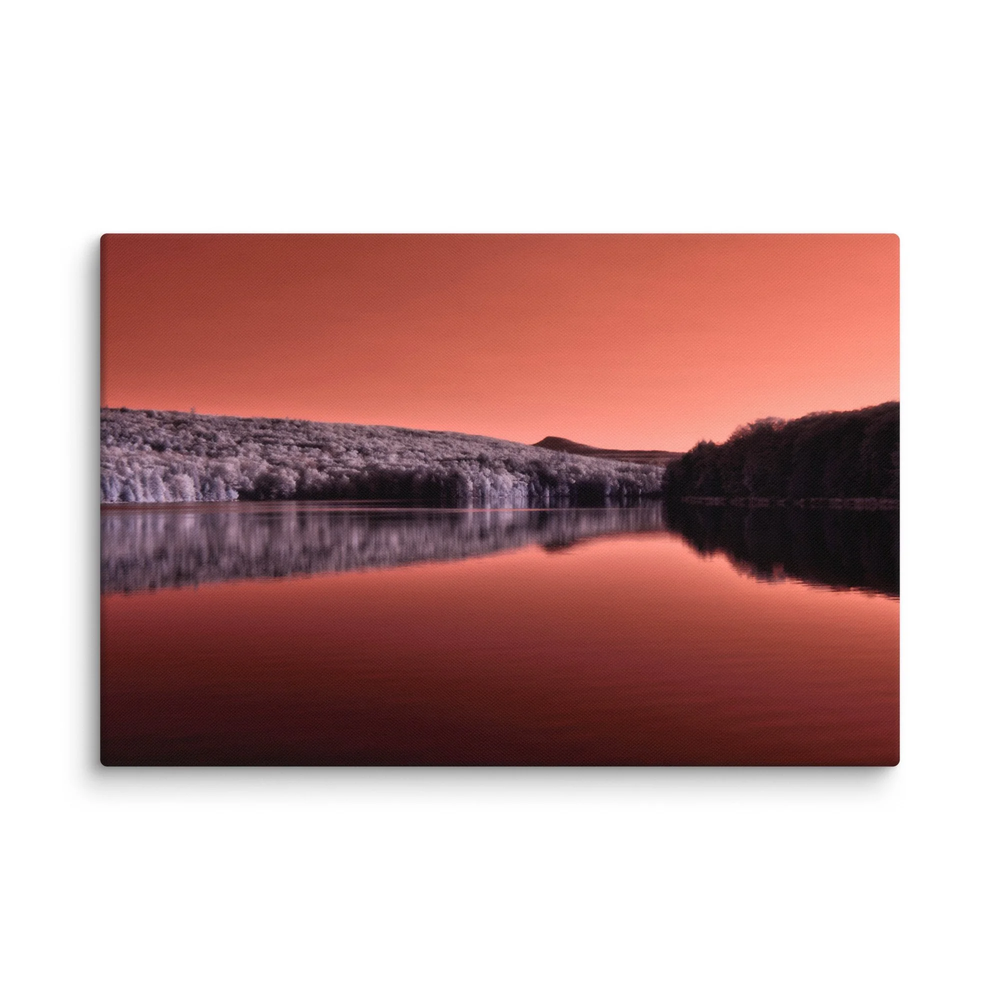 canvas-(in)-20x30-wall-674d153d547cd.jpg