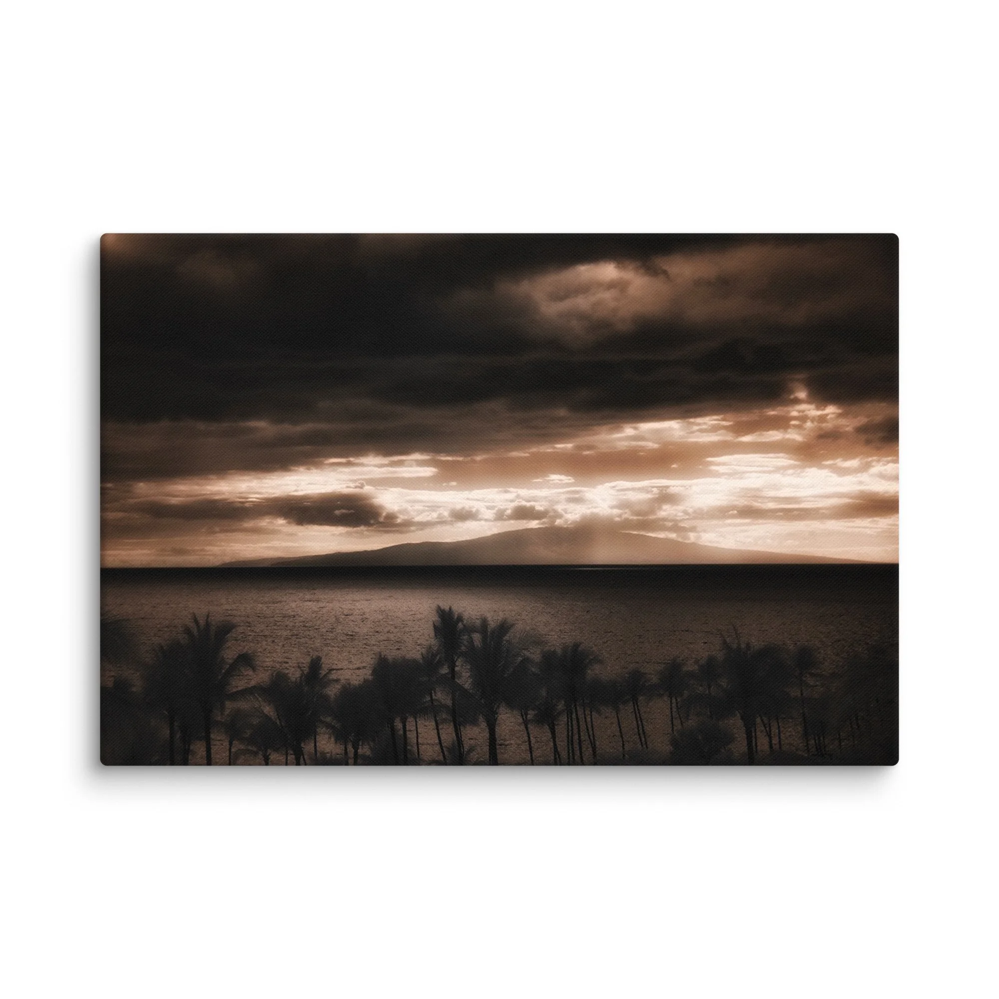 canvas-(in)-24x36-wall-674d1a355c426.jpg