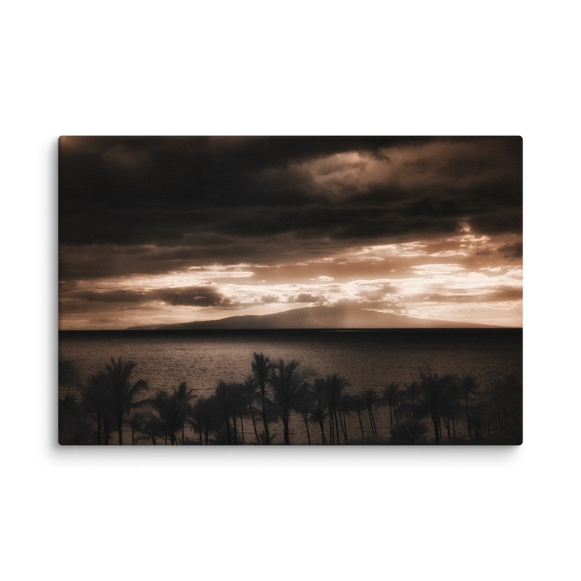 canvas-(in)-12x18-wall-674d1a355cb53.jpg