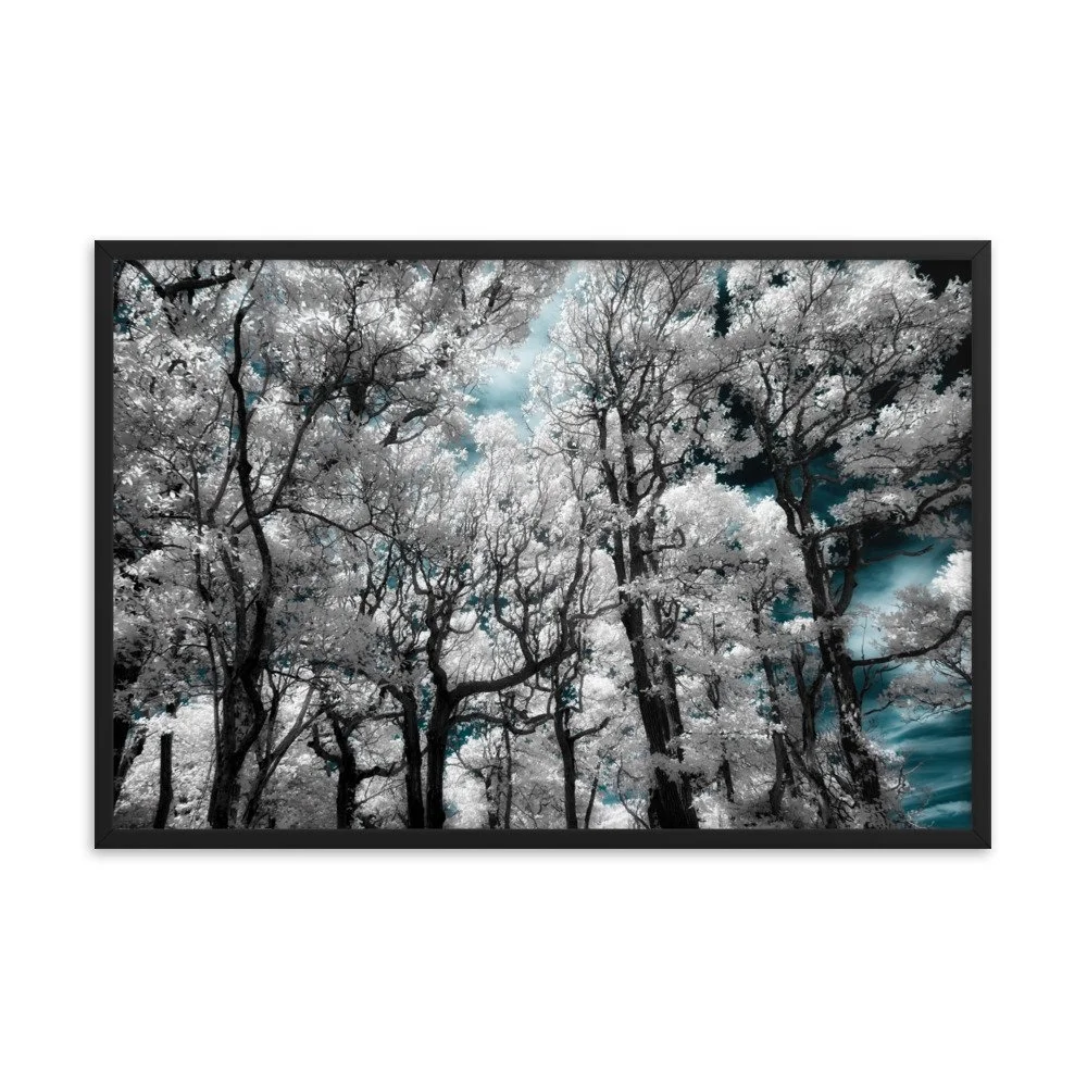 enhanced-matte-paper-framed-poster-(in)-black-24x36-transparent-674fce1556cc8.jpg