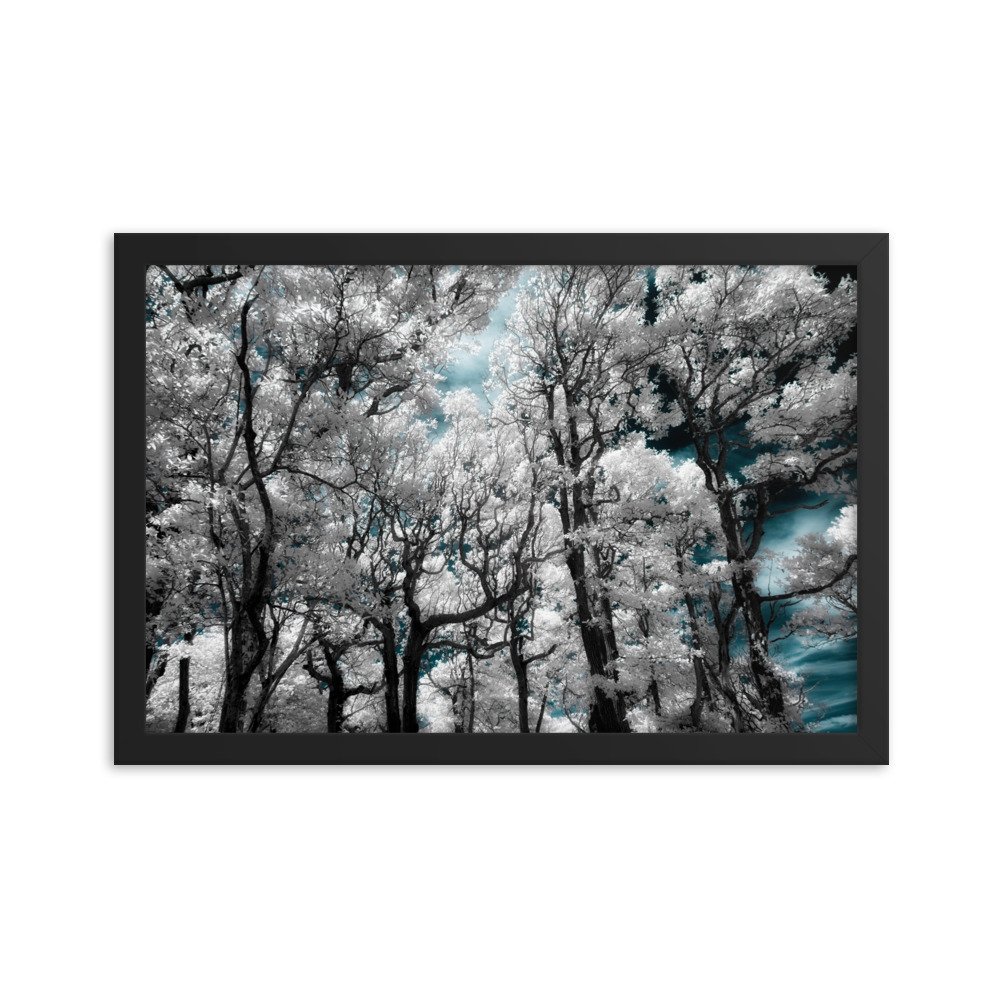 enhanced-matte-paper-framed-poster-(in)-black-12x18-transparent-674fce15572be.jpg