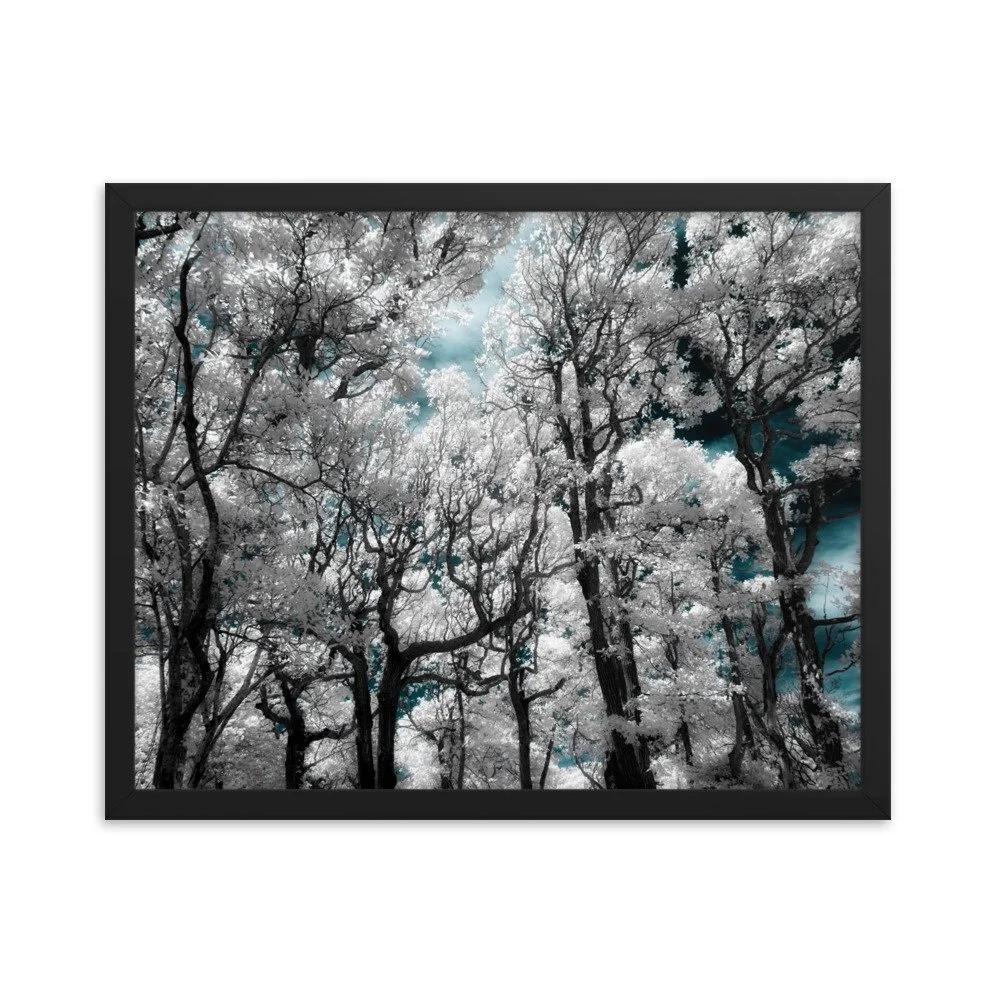 enhanced-matte-paper-framed-poster-(in)-black-16x20-transparent-674fce15573d0.jpg