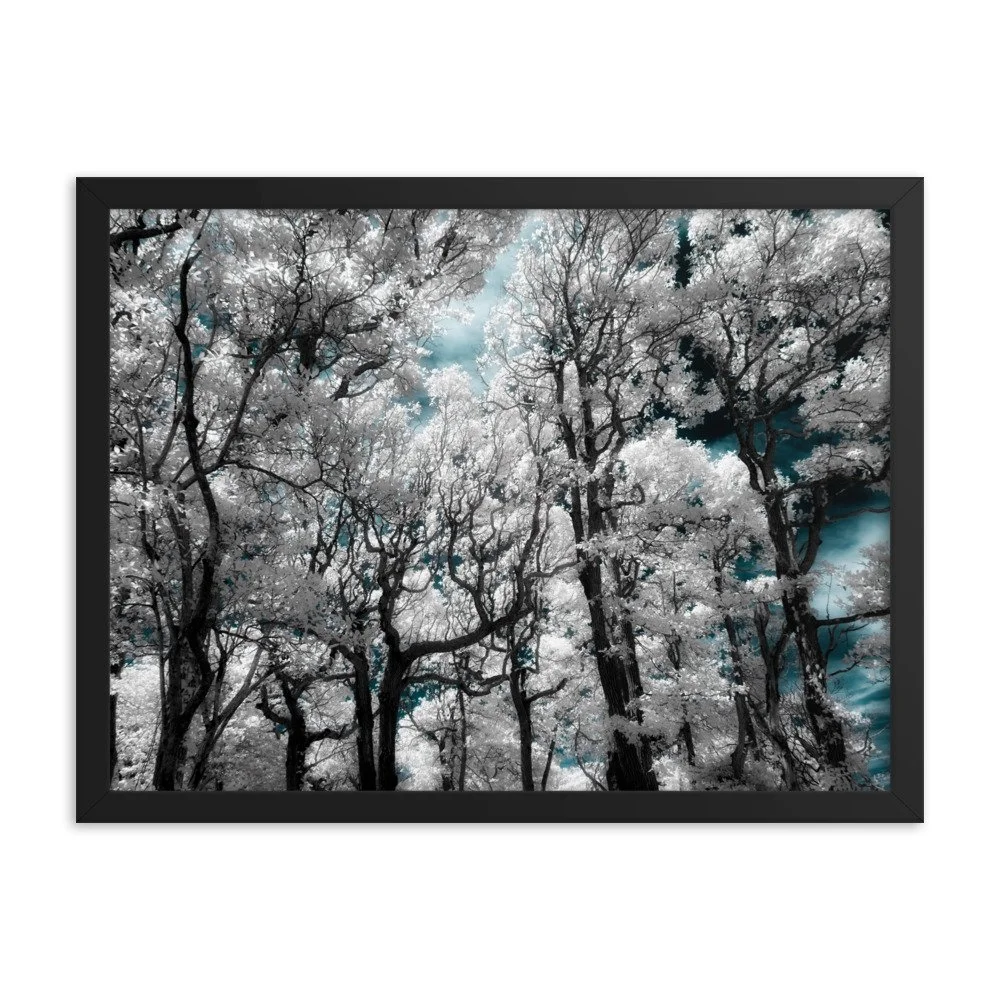 enhanced-matte-paper-framed-poster-(in)-black-18x24-transparent-674fce15574bf.jpg