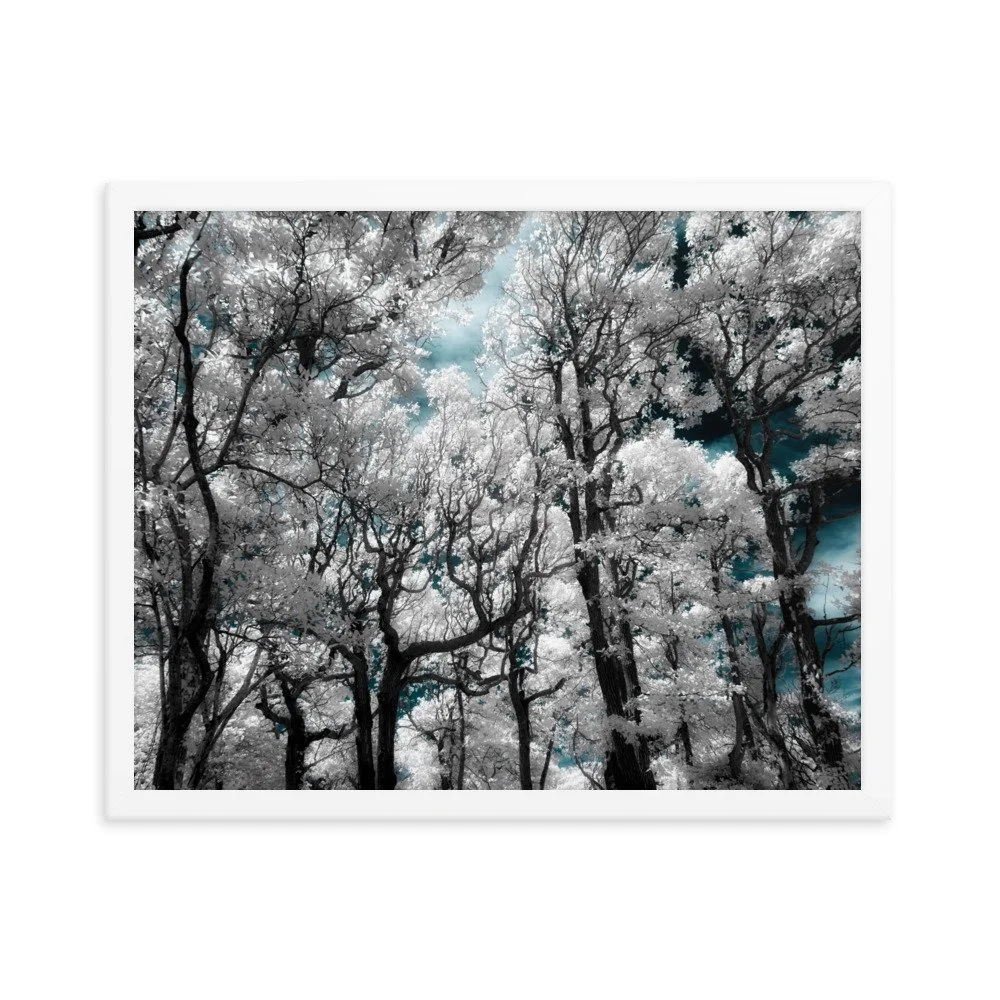 enhanced-matte-paper-framed-poster-(in)-white-16x20-transparent-674fce1557767.jpg