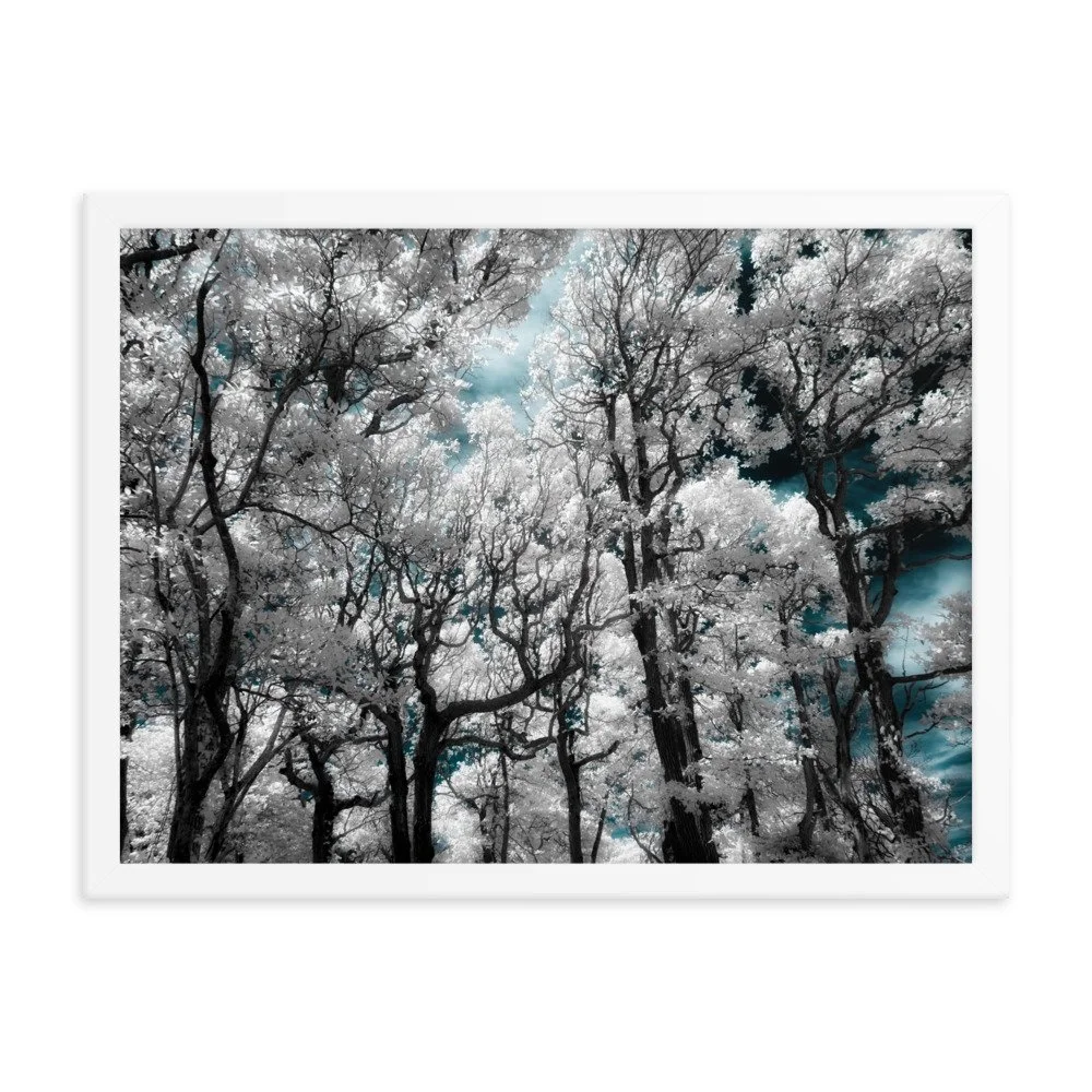 enhanced-matte-paper-framed-poster-(in)-white-18x24-transparent-674fce155786d.jpg